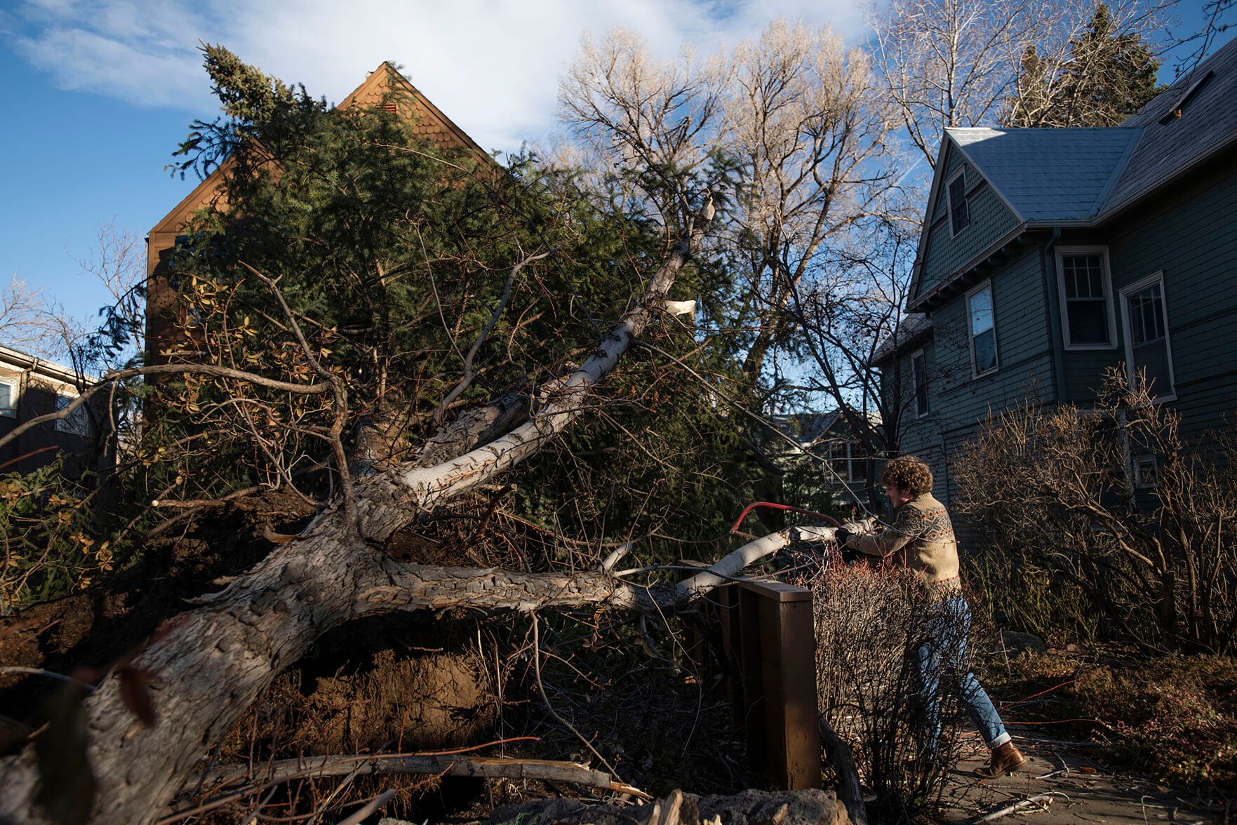 Benedict Wright helps saw branches after two trees toppled over at Robert Lee’s home on Tejon Street near Buena Ventura Street in the Old North End neighborhood of Colorado Springs on Wednesday, Dec. 15, 2021. Lee has lived at his home since 1982. “I’m grateful that the damage doesn’t seem to be greater than it is and no one got hurt,” said Lee. (Chancey Bush/ The Gazette) (Chancey Bush/ The Gazette)