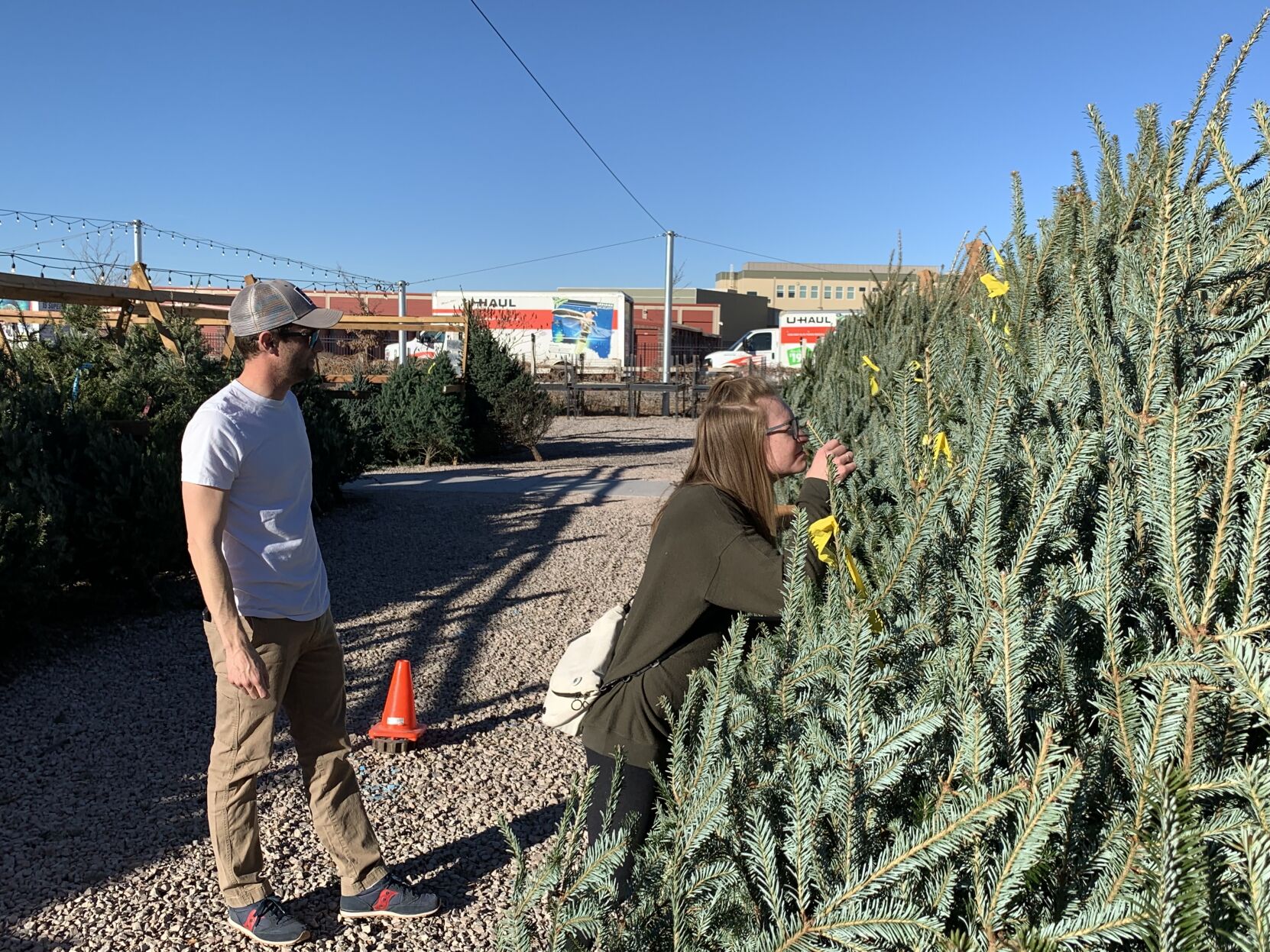 Matt and Aliona Slavin shop for Christmas trees at the Pine Lane Nursery in Parker Wednesday. (Dennis Huspeni/The Denver Gazette)