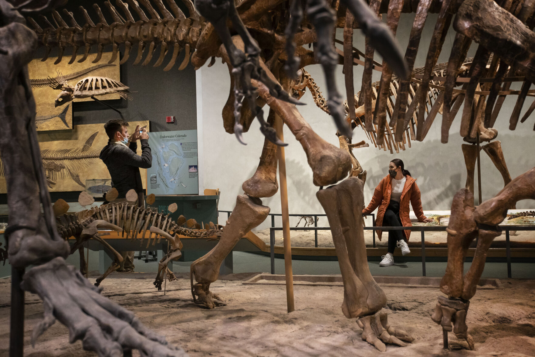 Visitors snap photos while at the Prehistoric Journey Hall at the Denver Museum of Nature and Science. The museum began in 1908 as the Colorado Museum of Natural History. (Timothy Hurst, the gazette)