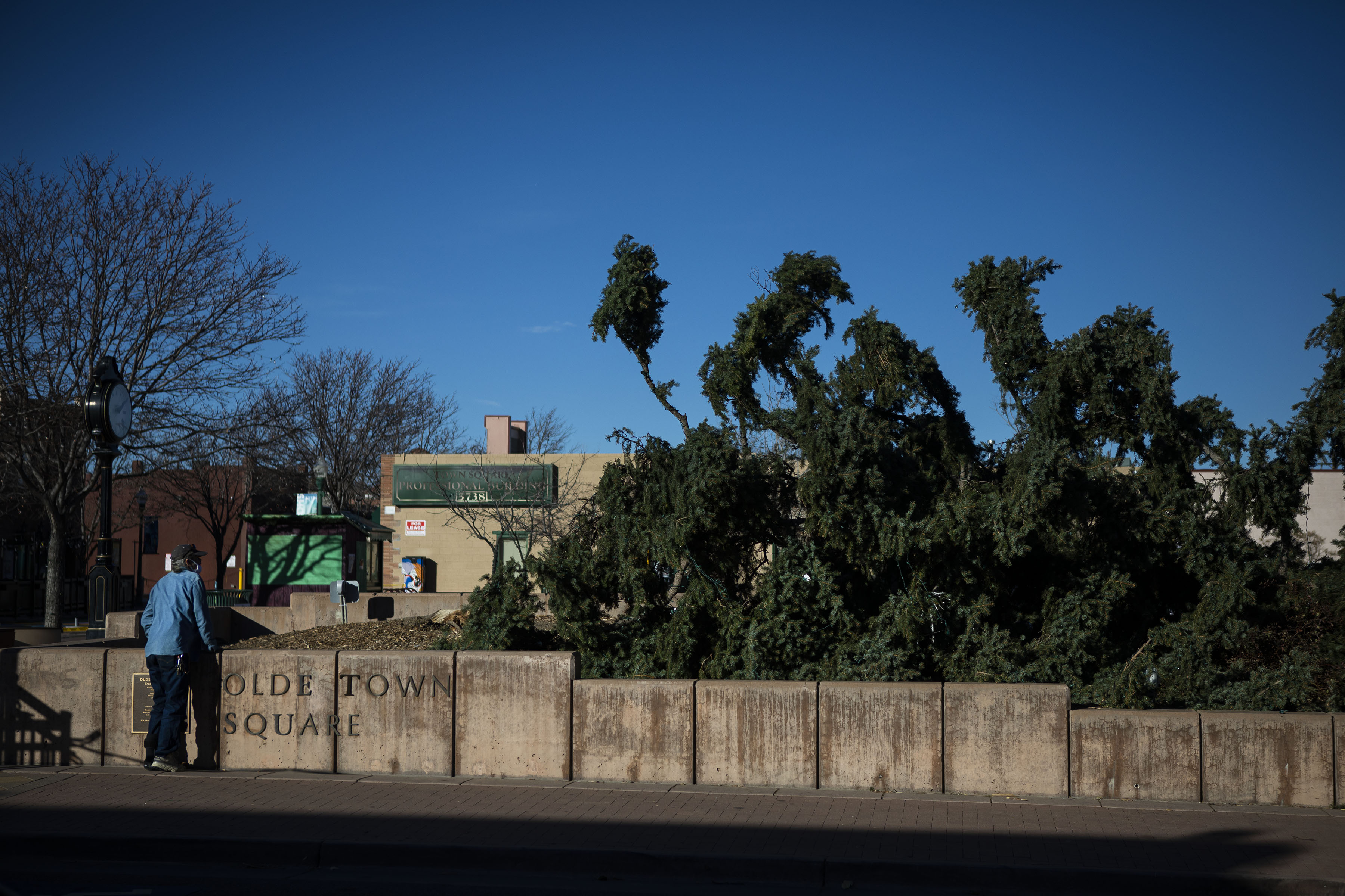 Arvada resident Steven Andrews looks at a large evergreen tree, recently decorated for the holidays, that fell due too high winds at the intersection of West 57th Avenue and Olde Wadsworth Boulevard on Wednesday, Dec. 15, 2021, in Arvada, Colo. (Timothy Hurst/The Gazette) (Timothy Hurst)