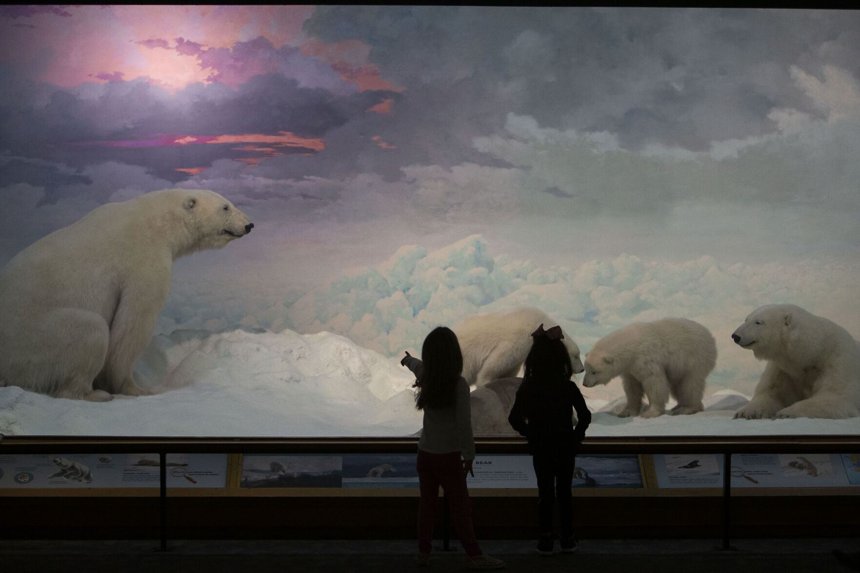 Two young students from Centennial A School For Expeditionary Learning look at the polar bear exhibit at the Denver Museum of Nature and Science. (Timothy Hurst)
