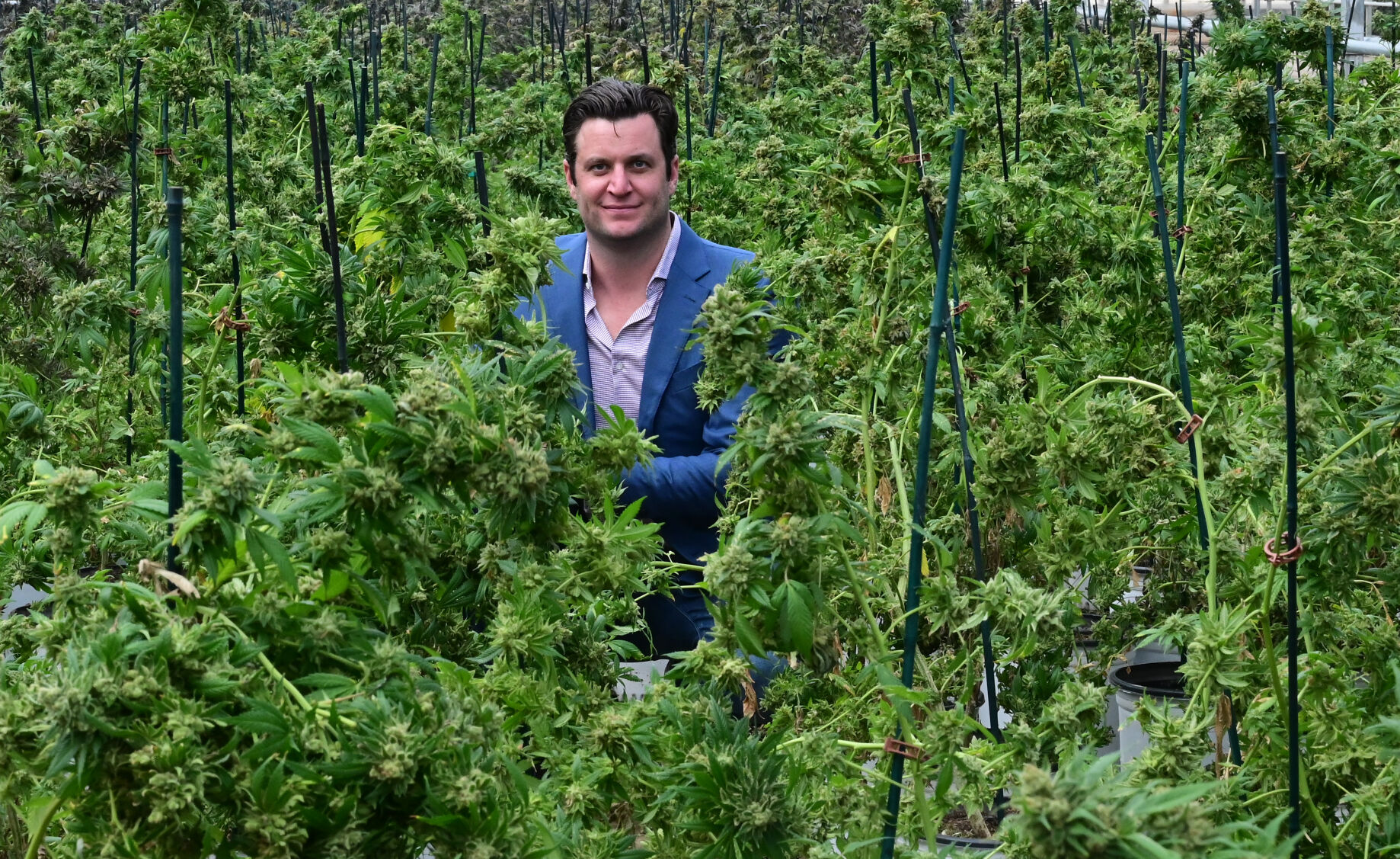 With a 400,000 sq. ft. facility already in place, Aaron Van Wingerden started Royale Botanicals in 2017, a company that grows hemp for CBD products. The company began selling its own CBD-infused products online this month. The facility is also used to grow flowers and ornamental plants for retail with Van Wingerden’s other business, Dutch Heritage Gardens. (Jerilee Bennett, The Gazette)