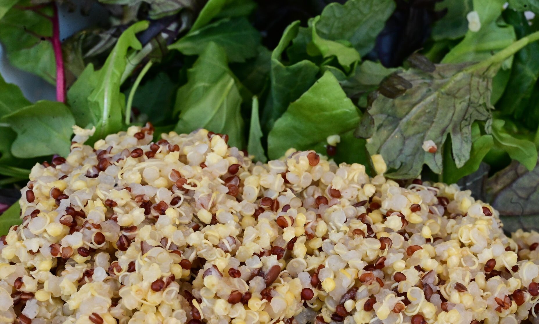 Buddha bowls are hearty, filling dishes made of various greens, raw or roasted veggies, beans and a healthy grains like quinoa or brown rice. (Jerilee Bennett, the gazette)