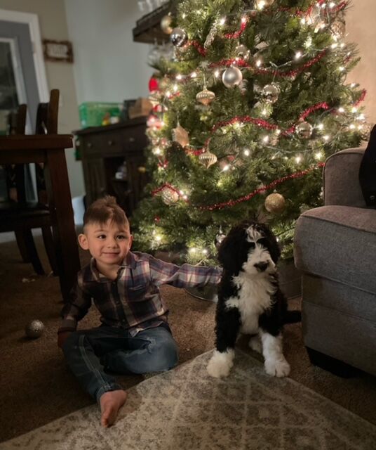 Fundraising campaign for 4-year-old Arvada abuse victim successful