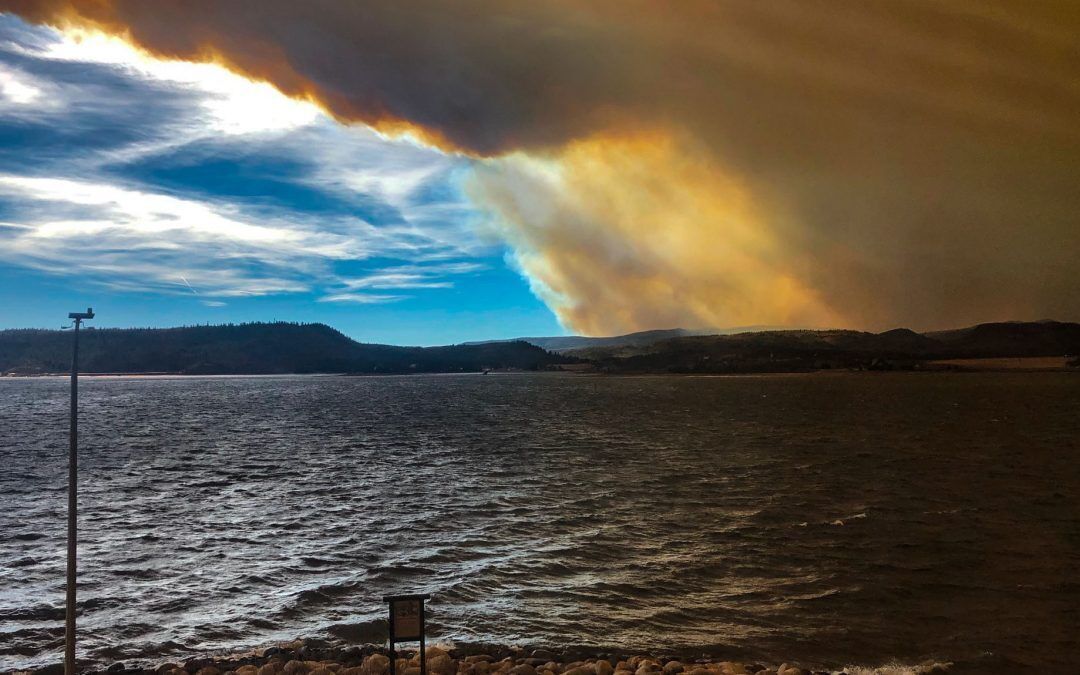 $88 million state wildland fire mitigation effort seeks local input