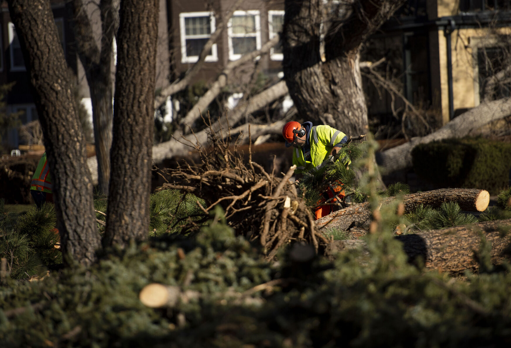 City crews work to clean up trees in the median of Cascade Avenue near Columbia Street in Colorado Springs on Thursday, Dec. 16, 2021. A wind storm ripped through El Paso County causing major damages to trees, homes and power lines. City crews and tree companies are working to clean up the aftermath of Wednesday’s hurricane-force winds that topped 100 mph in some areas of El Paso County. Colorado Springs Utilities are working around the clock to fix power lines and restore power to residents still facing outages in areas. (Chancey Bush/ The Gazette) (Chancey Bush/ The Gazette)