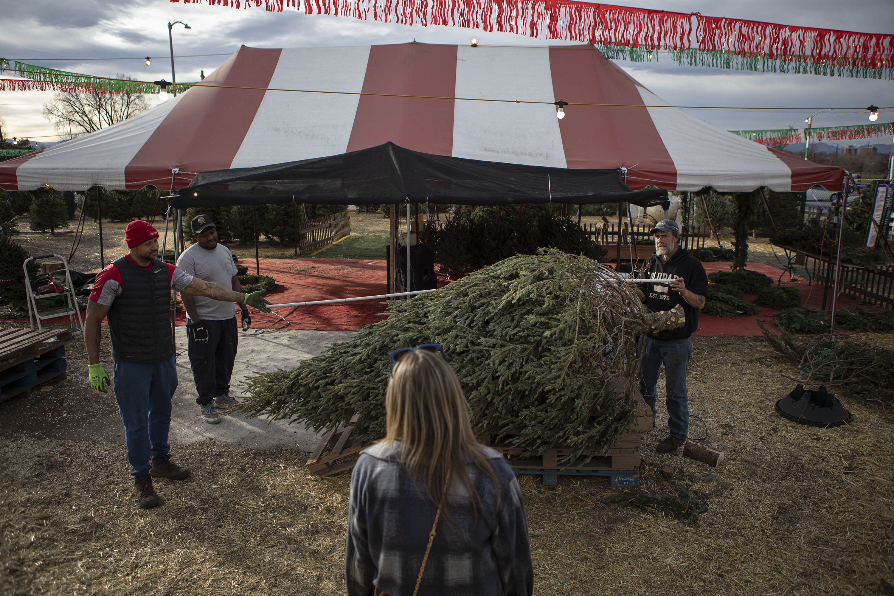 Lot attendants measure a fraser fir after cutting it down to size for customer Grace Buttorff, center, on Tuesday, Nov. 30, 2021, at Nice Christmas Trees in Denver, Colo. (Timothy Hurst/The Gazette) (TimHursttim.hurst@gazette.comhttps://secure.gravatar.com/avatar/aca82bd62b4ee425c598527cd6faa1b1?d=mm&r=g)