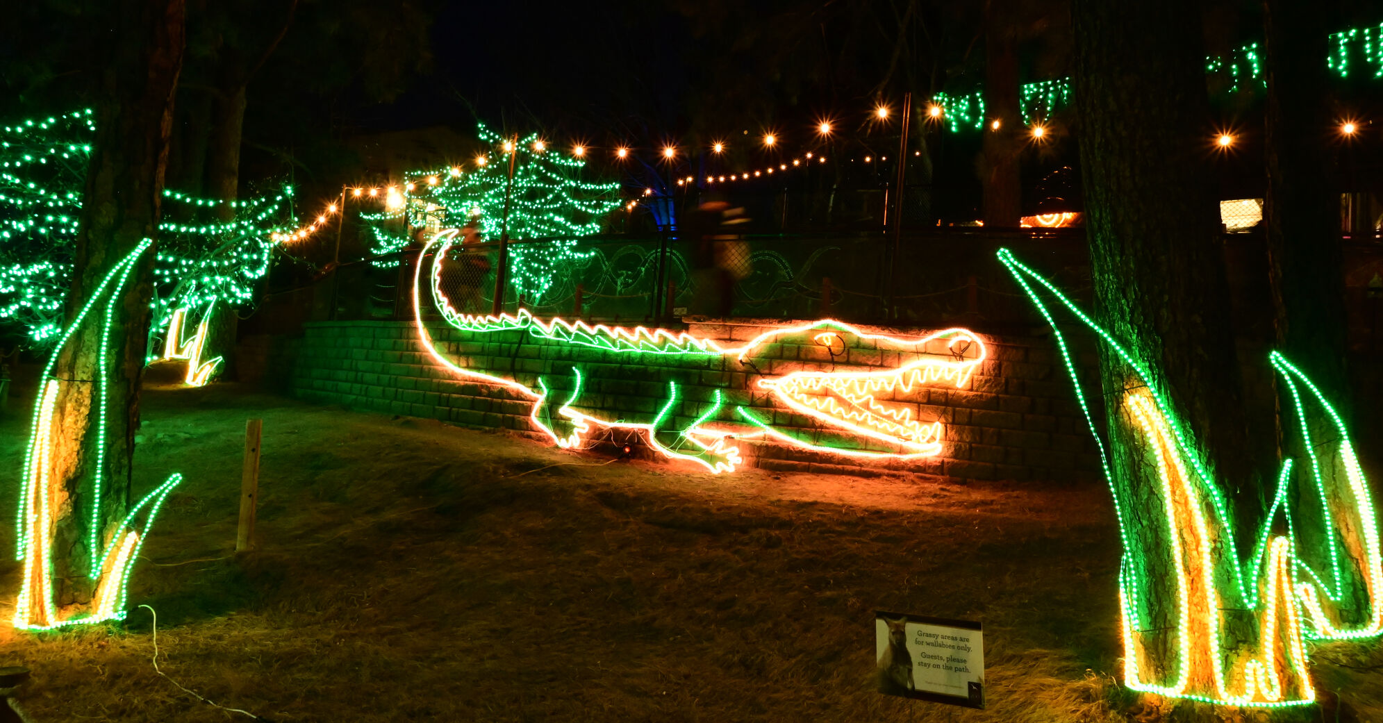 There are about 85 unique light sculptures at Electric Safari at the Cheyenne Mountain Zoo on Sunday, Dec. 5, 2021. (Photo by Jerilee Bennett, The Gazette) (Jerilee Bennett)