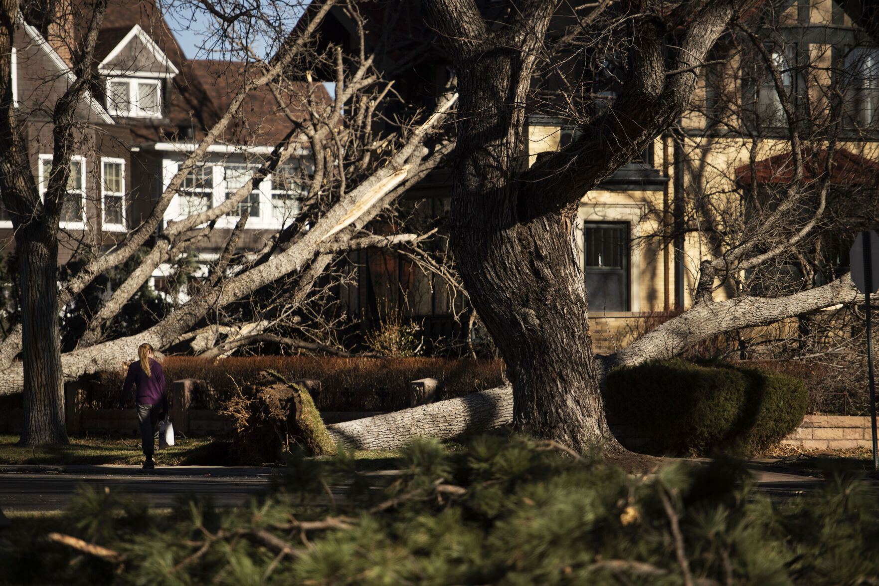 PHOTOS: Crews work to clean up the aftermath of Wednesday’s windstorm
