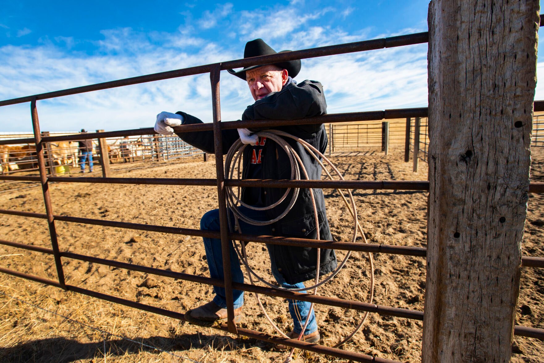 Ranch partner Gary Lake watches the longhorn cattle from a pen on the Silverado Ranch east of Colorado Springs, Wednesday, Jan. 5, 2022. (Christian Murdock, The Gazette)