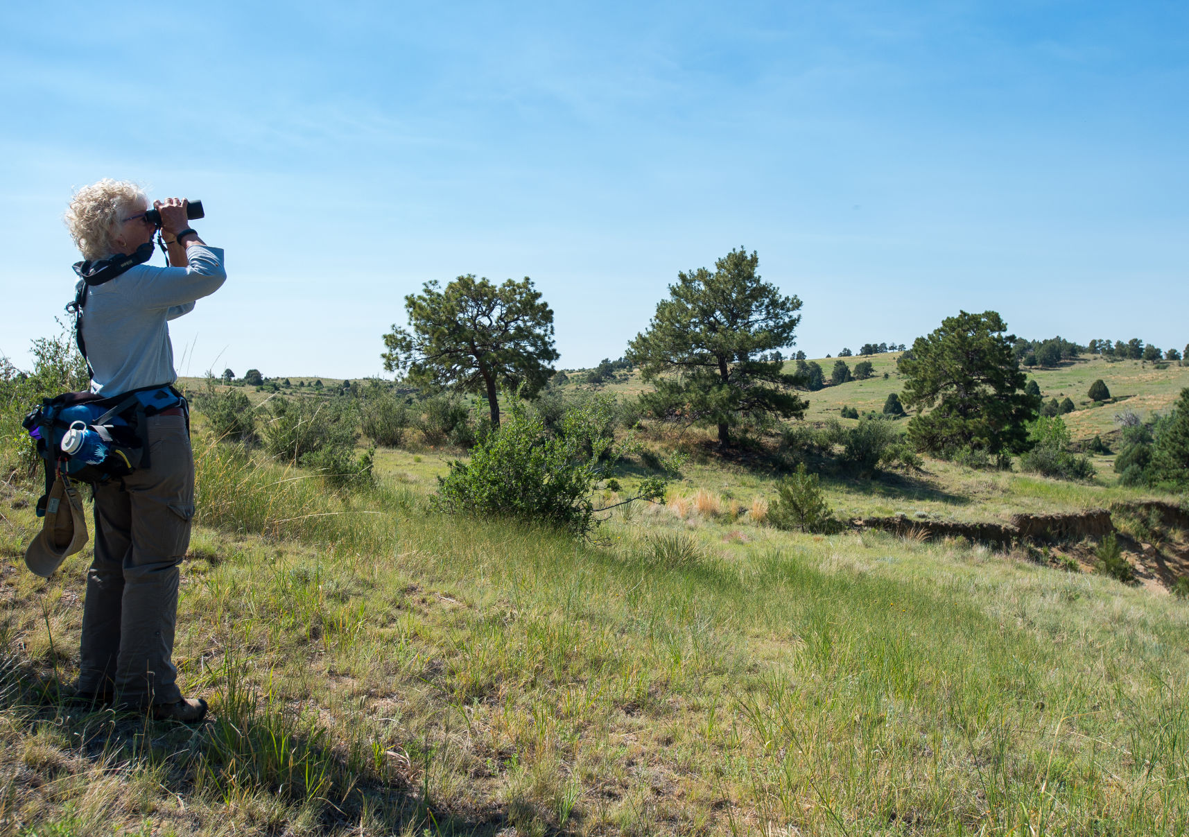 Sharon Milito uses a pair of binoculars to look for certain birds at Jimmy Camp Creek Park on Thursday June 28, 2017 in Colorado Springs, Colorado. (Photo by Dougal Brownlie, The Gazette). (DOUGAL BROWNLIE)