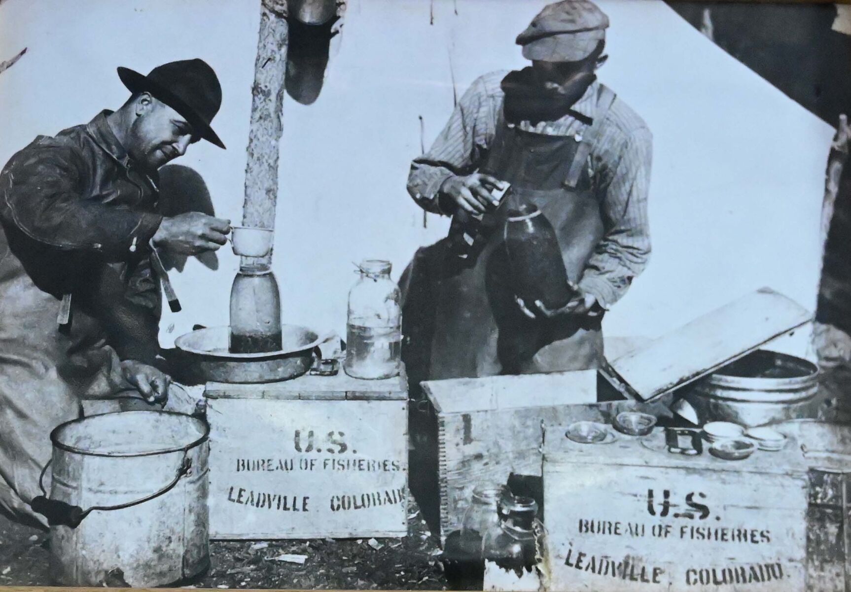 In the early days; brook, brown, rainbow, and cutthroat trout eggs were gathered and sent by train from wild fish populations in Colorado, New Mexico, and Yellowstone. (Jerilee Bennett)