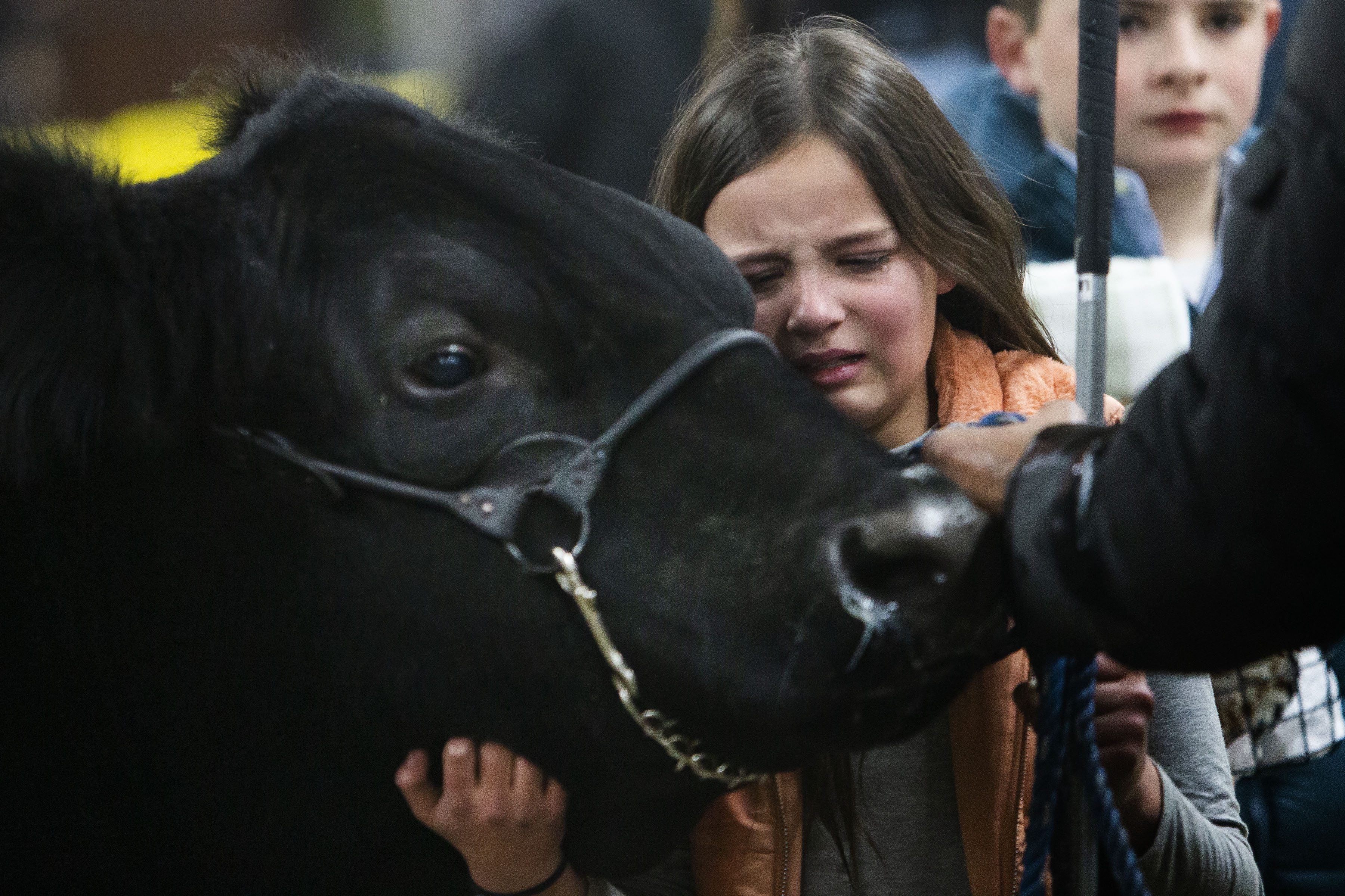 Sadie Wynne of Newcastle, Okla. has a tear fall down her face as she scratches her first-place market steer under the chin during the National Western Stock Show Junior Livestock Champions Auctions on Friday, Jan. 21, 2022, in Denver, Colo. (Timothy Hurst/The Gazette) (Timothy Hurst)