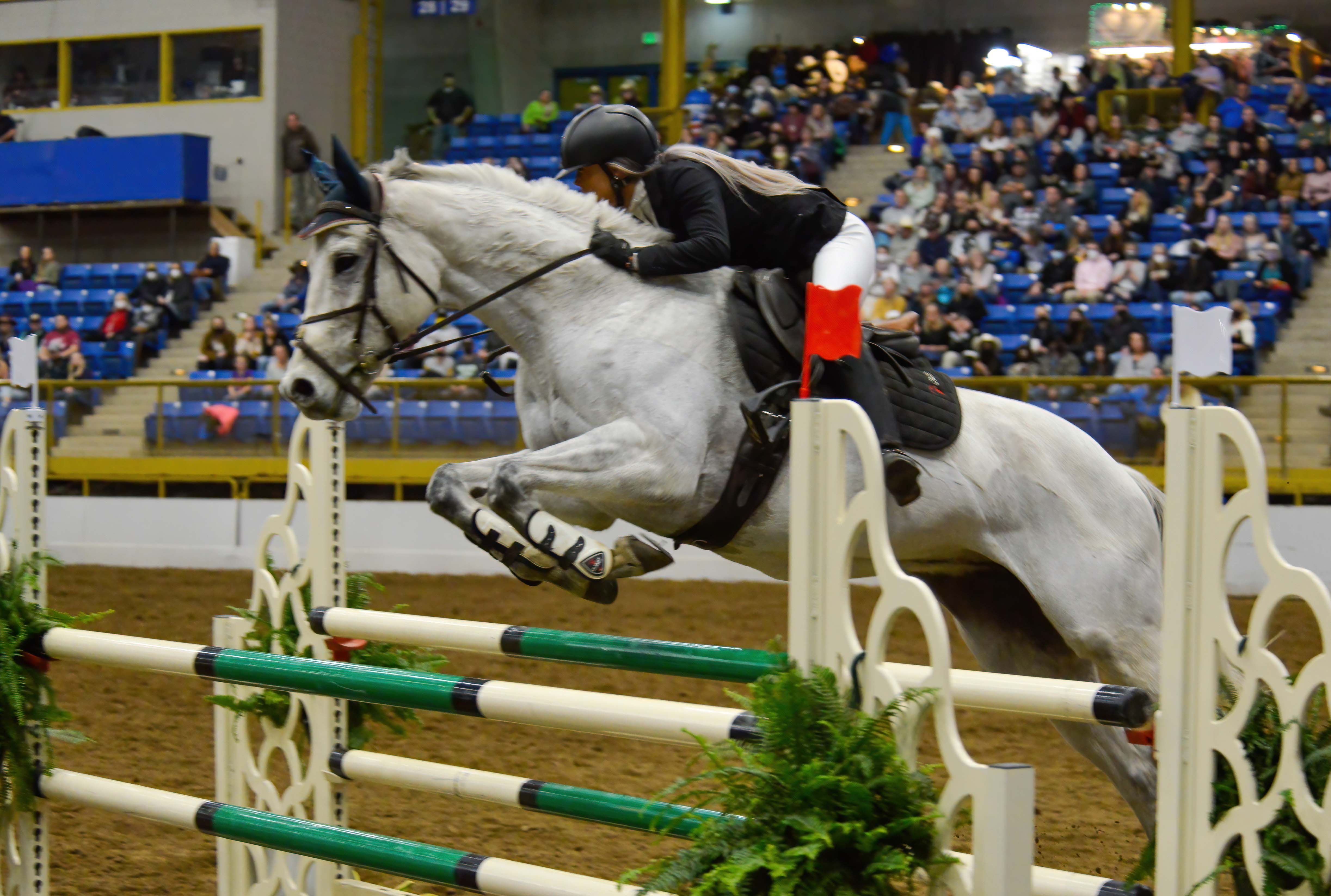 Tara-Ashley Gable and Dream Bling take a jump at the 2022 National Western Stock Show Gambler's Choice Jumper Stake. (Scott Weiser/The Gazette) (Scott Weiser)