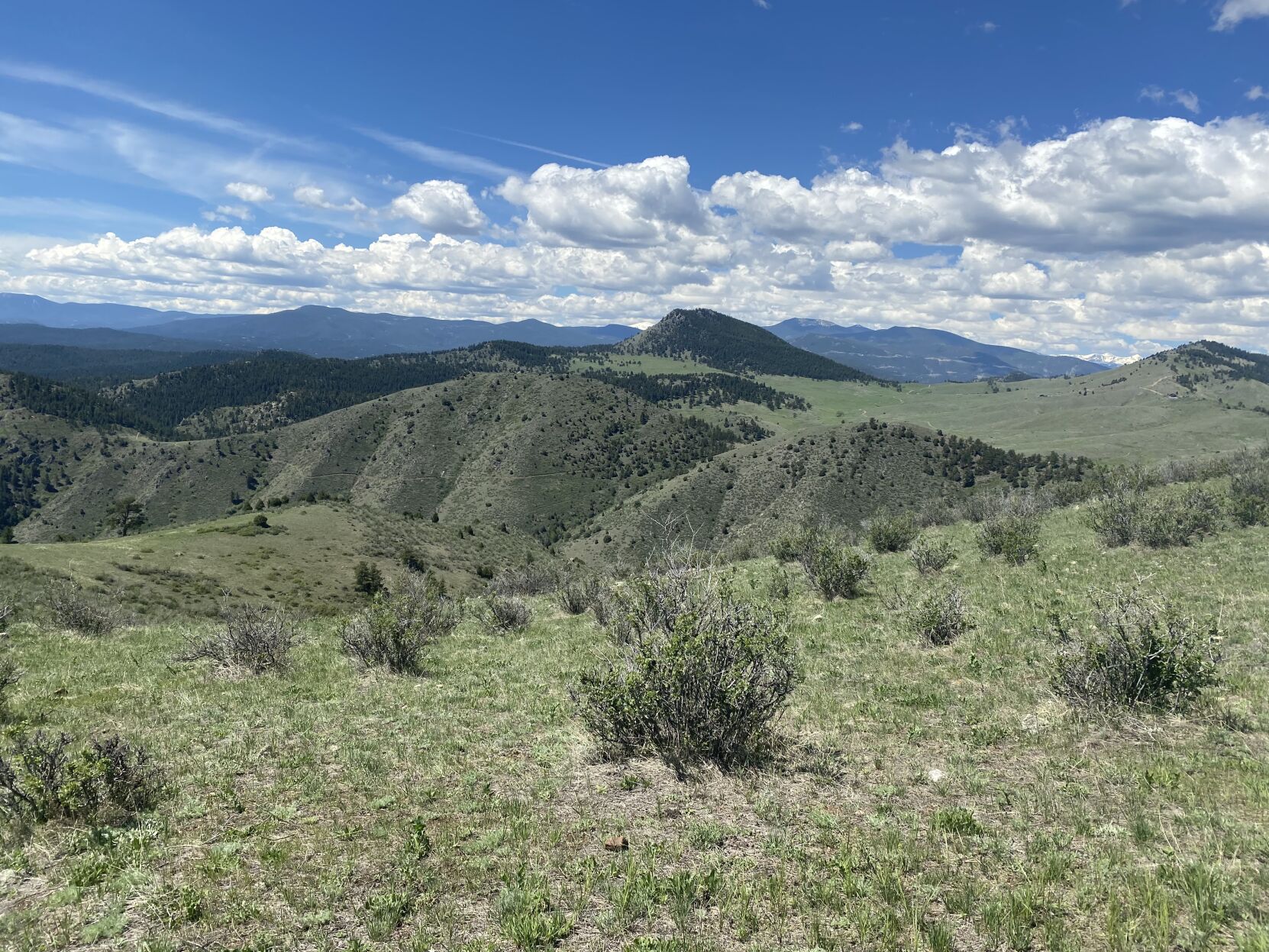 Nearly 1,200 acres added to Jefferson County open space portfolio