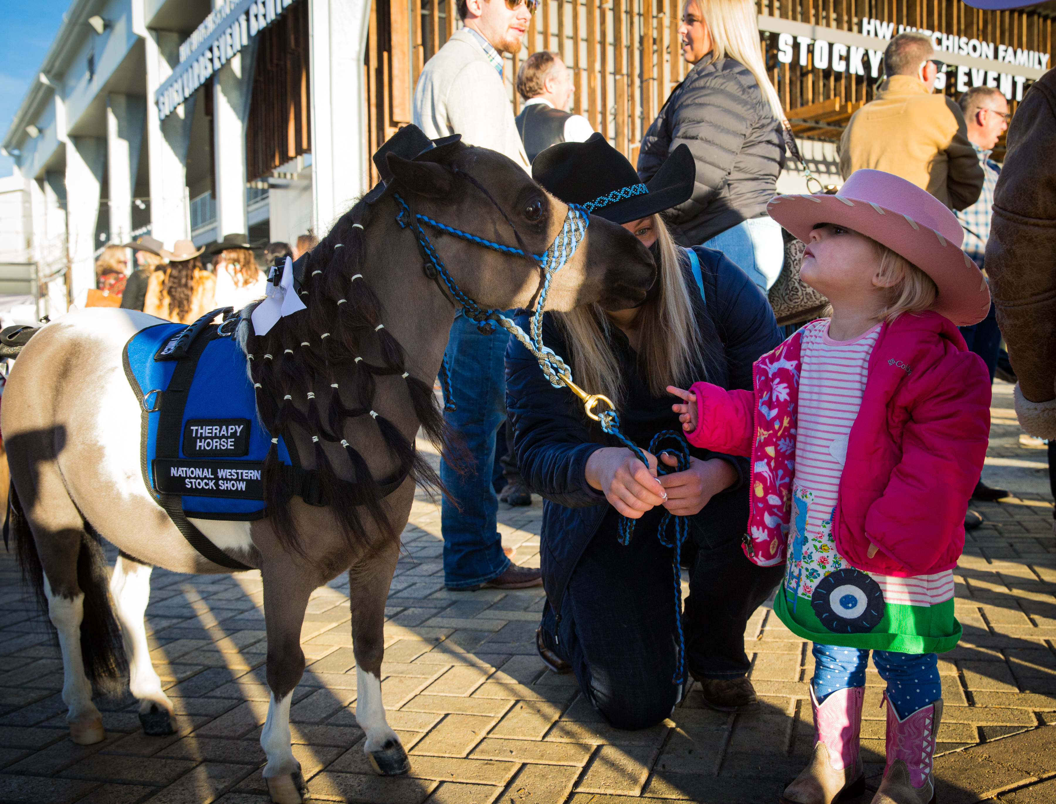 Ella Holtmeyer finds a pony just her size at the HW Hutchison Family Stockyards Event Center opening on Friday, Jan. 7, 2022, in Denver, Colo. (Liz Copan / special to The Denver Gazette) (Liz Copan)