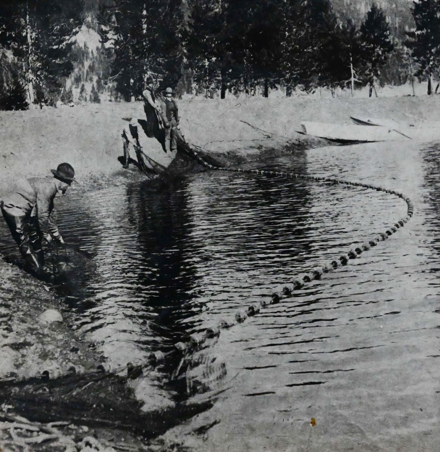In the beginning, fish eggs were obtained from wild fish or other hatcheries. (Jerilee Bennett)
