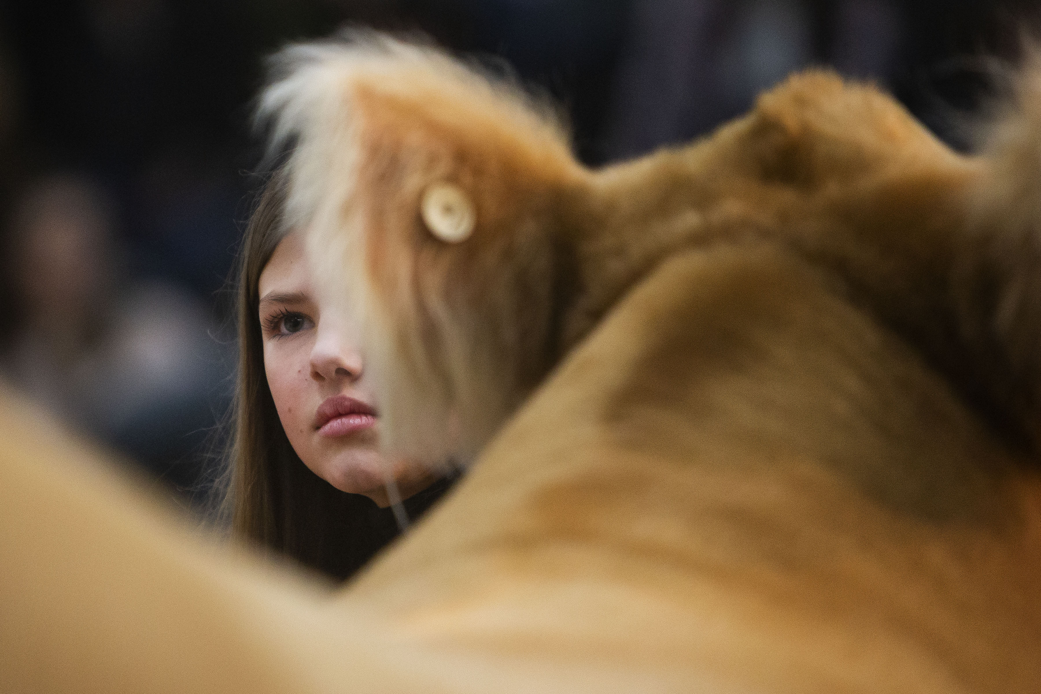 Rylee Rodgers, 12, of Searsboro, Iowa, holds her grand championship market steer “Yellers” in the ring during the National Western Stock Show Junior Livestock Champions Auctions on Friday, Jan. 21, 2022, in Denver, Colo. (Timothy Hurst/The Gazette) (Timothy Hurst)