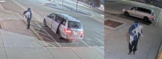 A severely sick American bull dog died after being dropped off at an after-hours shelter and authorities are searching for the person responsible. (Courtesy of the Metro Denver Crime Stoppers)