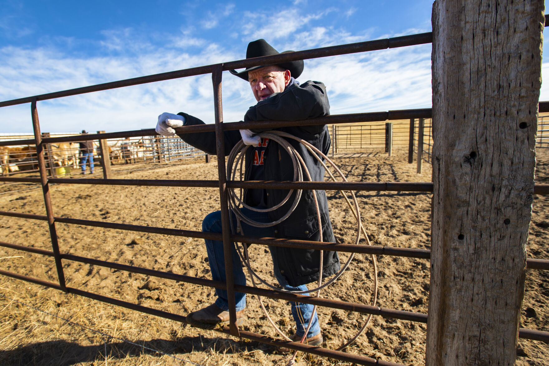 Ranch partner Gary Lake watches the longhorn cattle from a pen on the Silverado Ranch east of Colorado Springs, Wednesday, Jan. 5, 2022. (Christian Murdock, The Gazette)