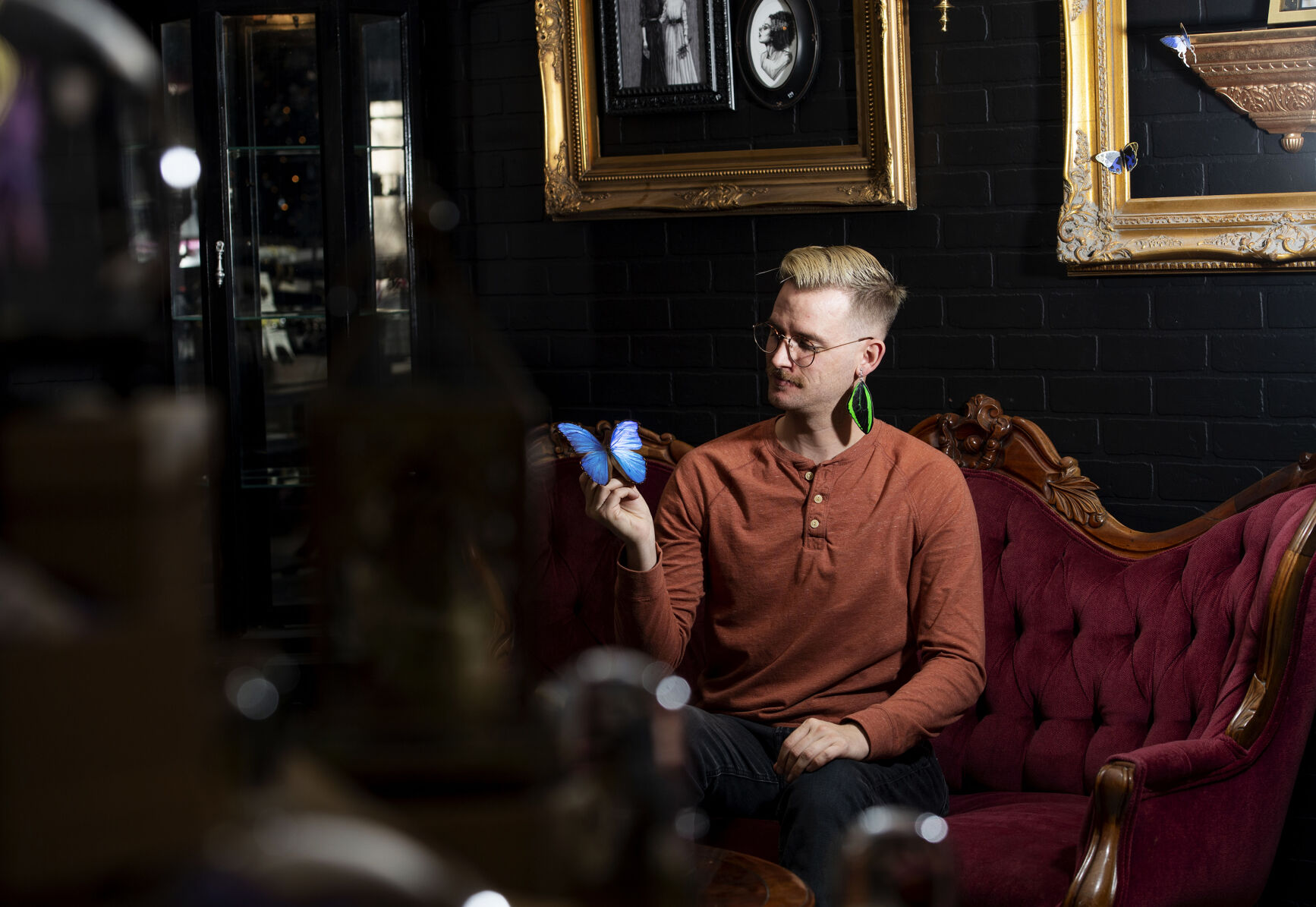 Andrew Cronk, co-owner of Cronk Art & Curiosities, poses with a Giant Blue Morpho butterfly at his new store in downtown Colorado Springs on Saturday, Dec. 18, 2021. Cronk and his partner Chris Dantzler opened their shop on Sept. 30, 2021, located in a storefront next to The Old Depot on Sierra Madre Street. Cronk’s passion for insects and art has led him specialize in ethically-sourced arthropod taxidermy while spreading the message about the importance of pollinators. (Chancey Bush, The Gazette)