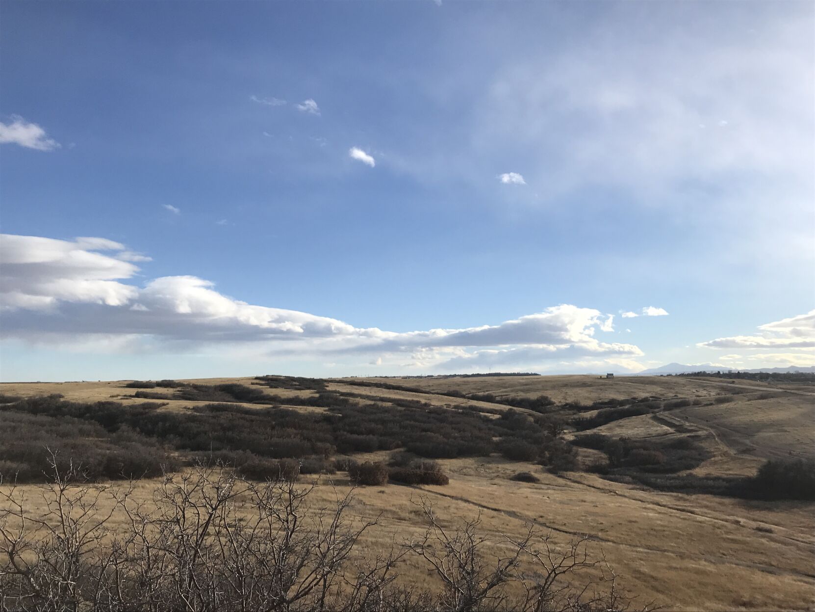 Pikes Peak in the distance from Glendale Farm Open Space between Lone Tree and Castle Rock. Gazette photo