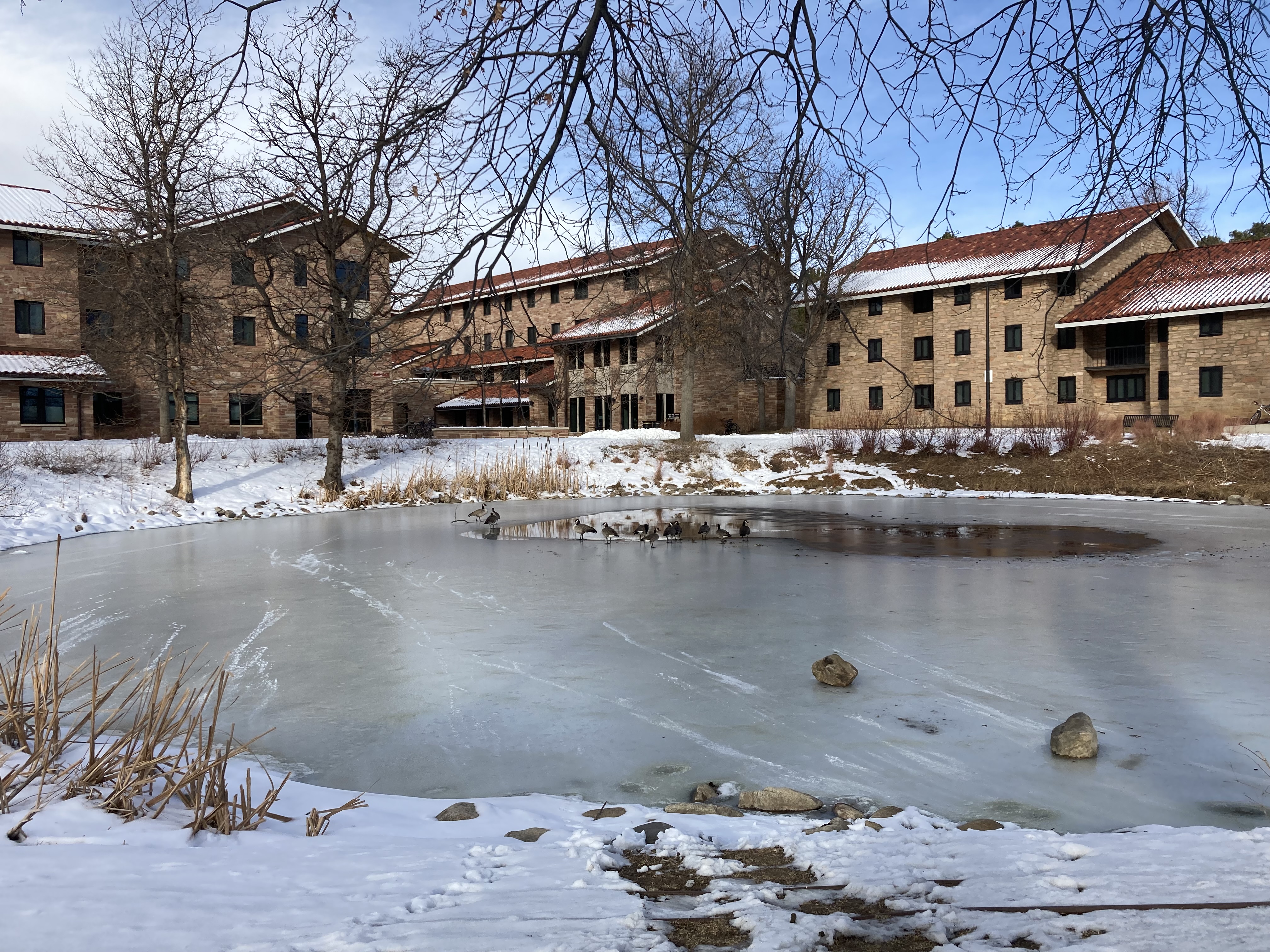 Woman, dog rescued from frozen pond on CU Boulder campus