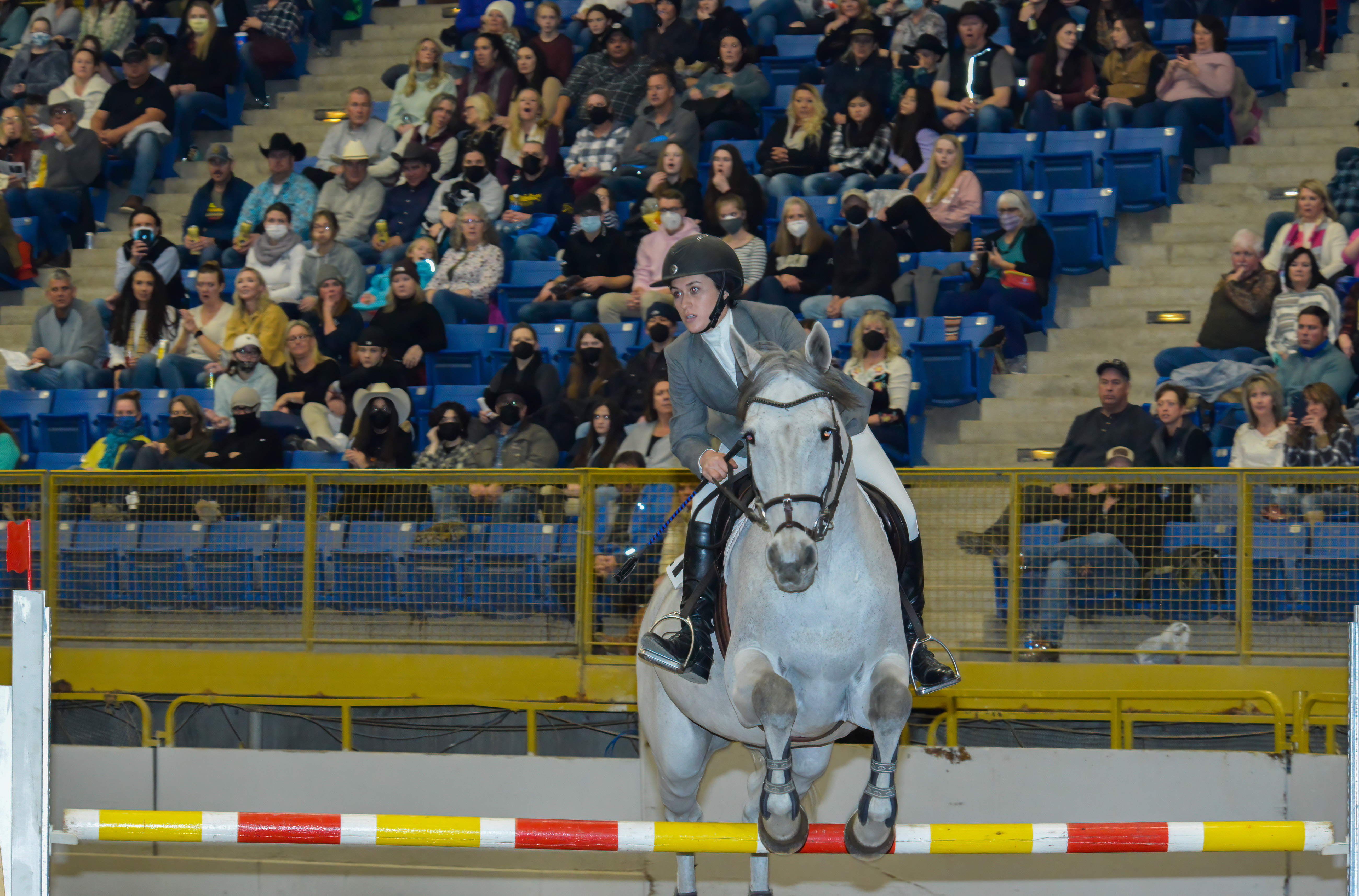 Dominique Hoffman and Apriol 2 take the Monarch jump at the 2022 National Western Stock Show Gambler's Choice Jumper Stake. Hoffman and Apriol 2 took 8th place. (Scott Weiser/The Gazette) (Scott Weiser)