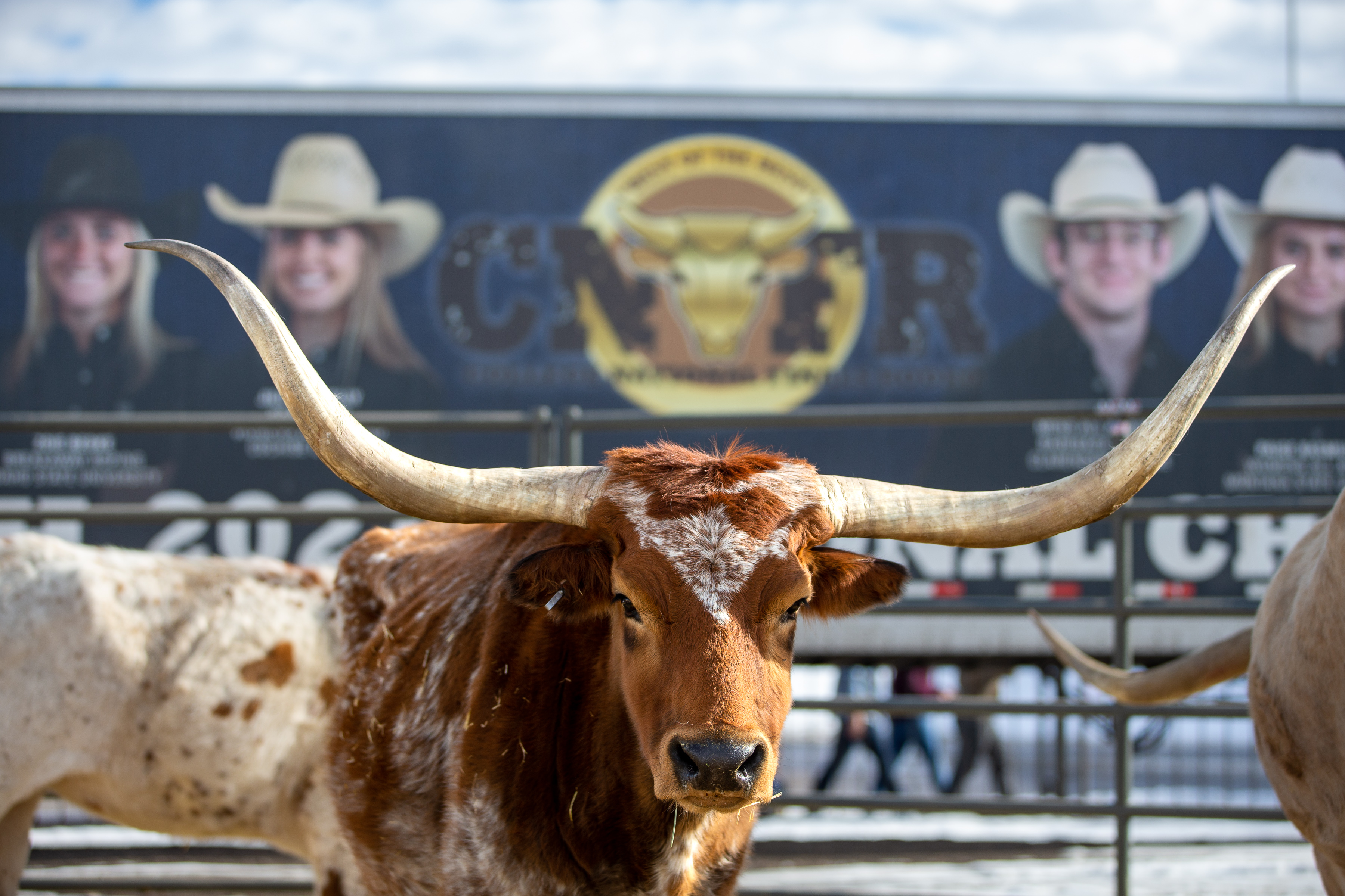 Highlights from the first day of the 116th National Western Stock Show on Saturday, Jan. 8, 2022, in Denver, Colo. (Liz Copan / special to The Denver Gazette) (Liz Copan)