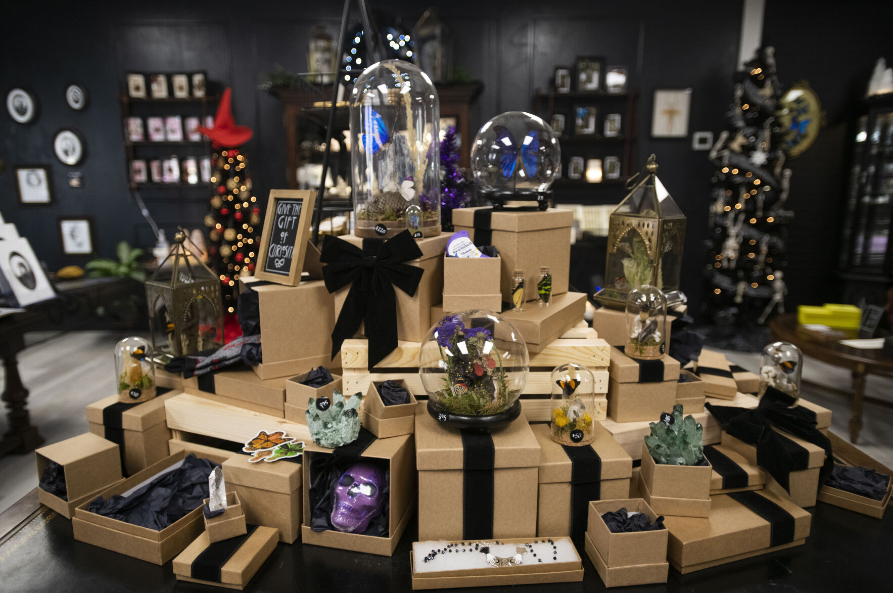 An array of oddities at Cronk Art & Curiosities in Colorado Springs Andrew Cronk and his partner Chris Dantzler opened their shop on Sept. 30, in a storefront next to The Old Depot on Sierra Madre Street in Colorado Springs. (Chancey Bush, The Gazette)