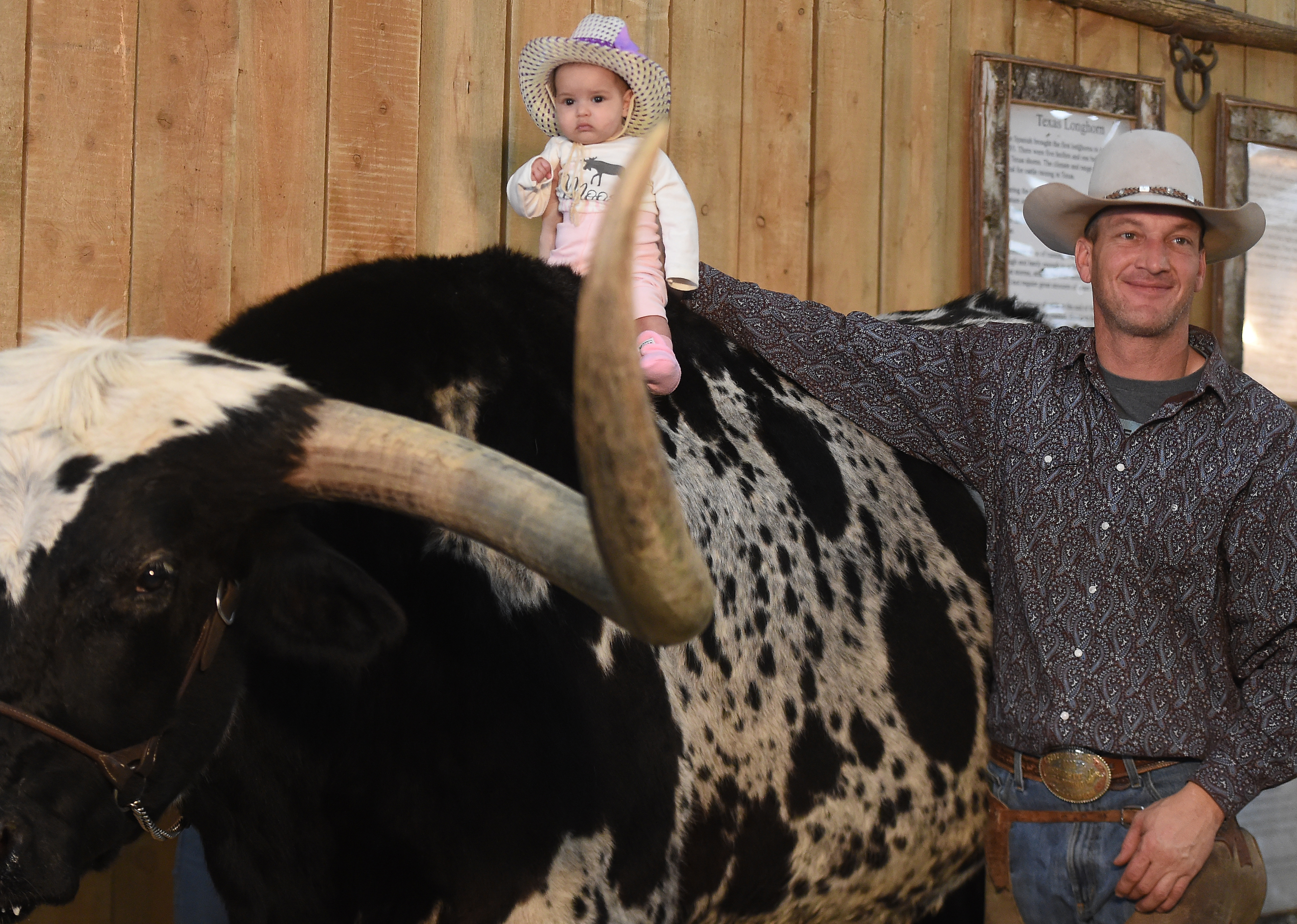 Sunday was the last day of the last day of the National Western Stock Show. (Photo by Jerilee Bennett, The Gazette) (Jerilee Bennett)