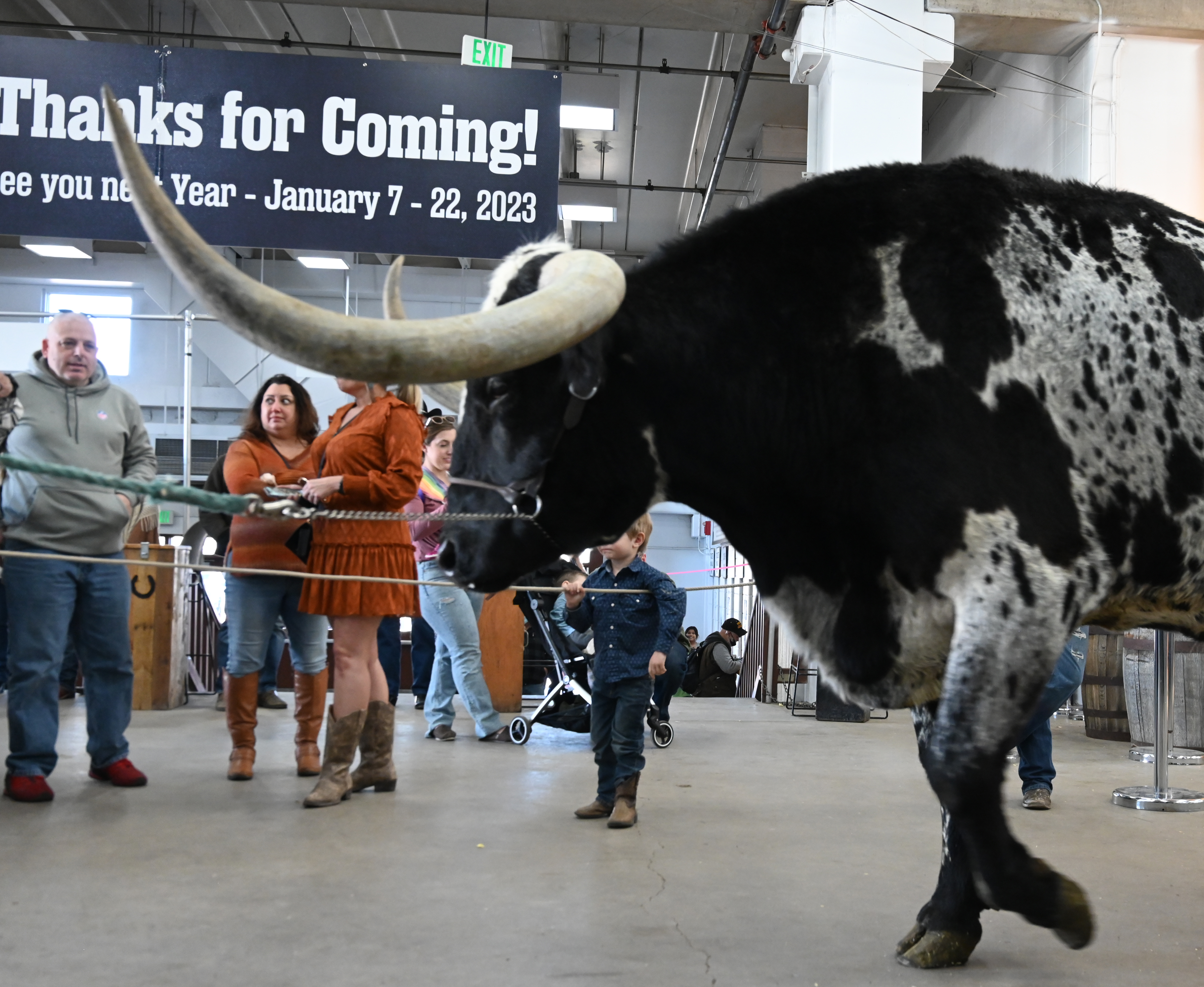 Sunday was the last day of the last day of the National Western Stock Show. (Photo by Jerilee Bennett, The Gazette) (Jerilee Bennett)