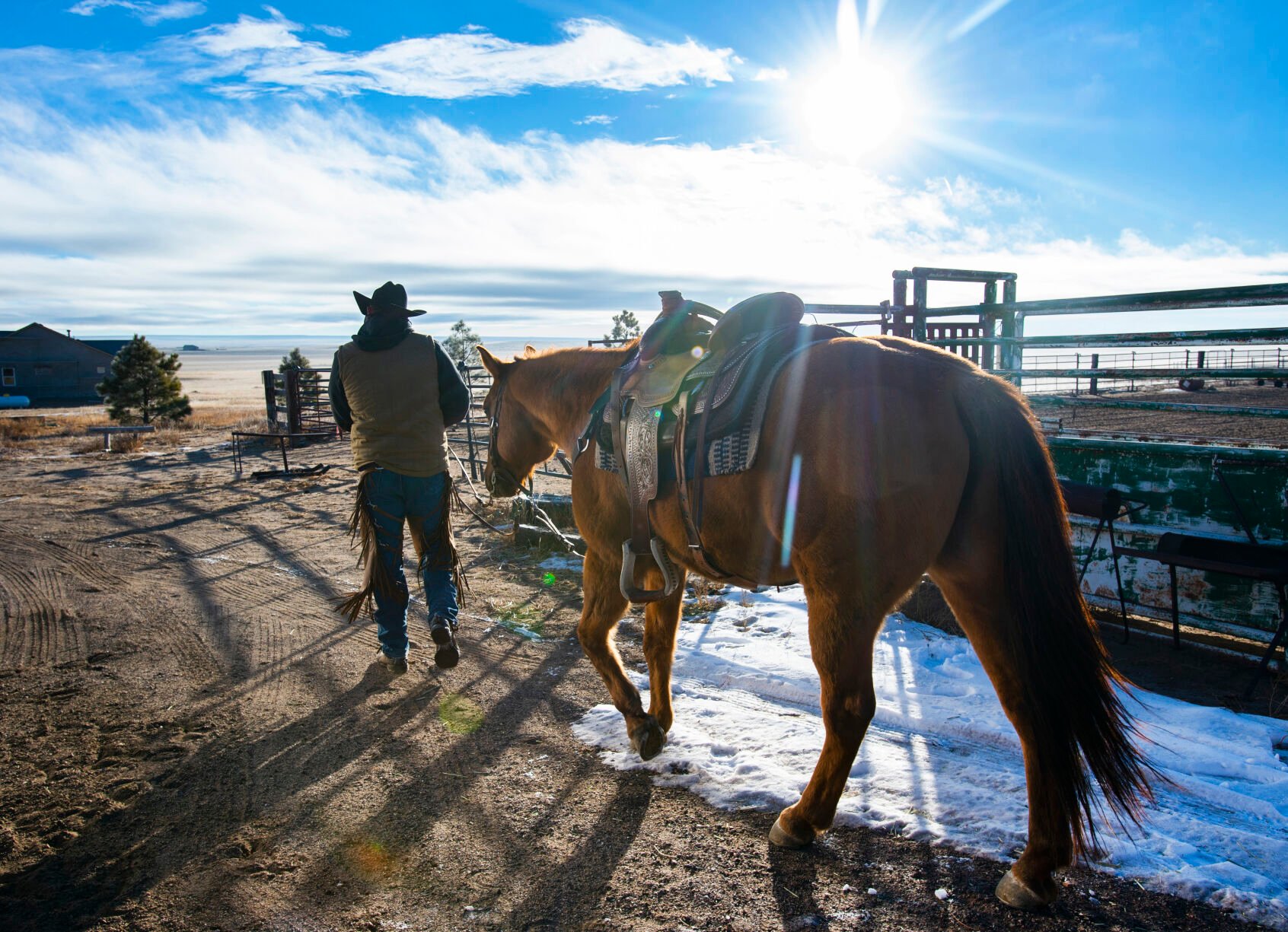 Cowboy Steve Mullis get his horse ready before rounding up the longhorn cattle on the Silverado Ranch east of Colorado Springs, Wednesday, Jan. 5, 2022. (Christian Murdock, The Gazette)