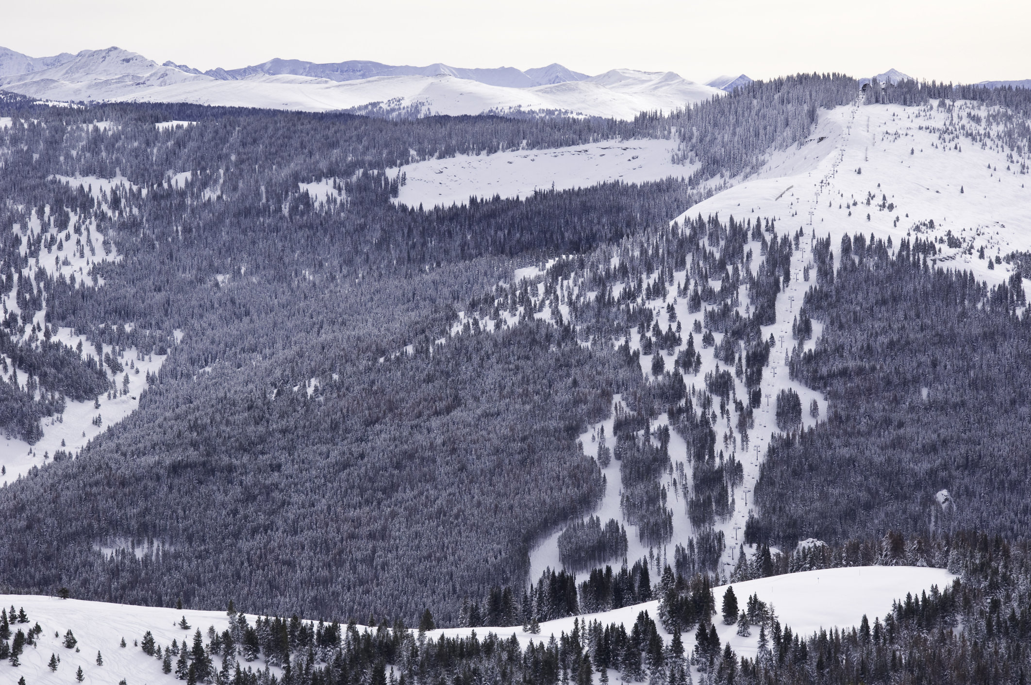 LOOKING BACK: The night ecoterrorists attacked a Colorado ski resort ‘for the lynx’