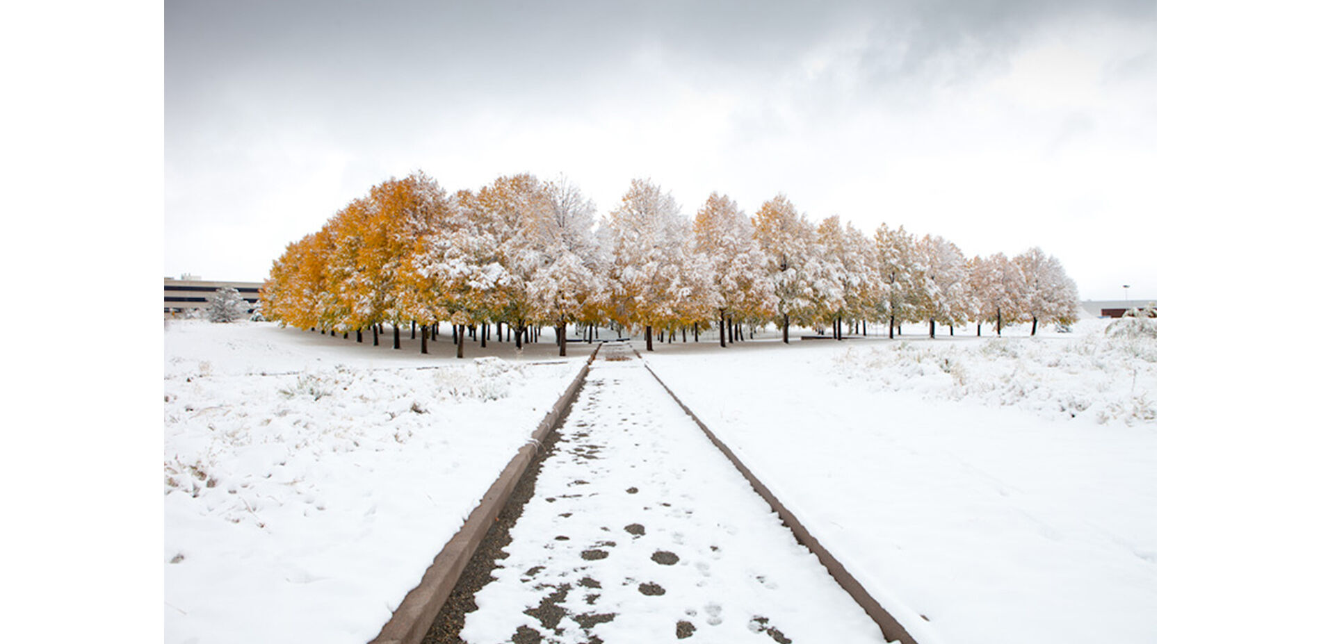 In Denver’s Babi Yar Park Forest of Remembrance, 100 linden trees are planted in a grid. A narrow bridge with high wooden walls painted black serves as a dark reminder of railroads used to transport Jews to concentration camps. The bridge spans the ravine that recalls Babi Yar, Ukraine. Upon exiting the boxcar bridge, visitors can see their own reflections on polished vertical stripes of black-granite monoliths. , a simple black granite fountain and a curved black granite bench. A narrow bridge with high wooden walls black-painted is a sinister reminder of railroad cars used to transport Jews to concentration camps. The bridge spans the ravine that recalls Babi Yar, Ukraine. Upon exiting the boxcar bridge, visitors can see their own reflections on highly polished vertical stripes on black granite monoliths. (Courtesy photo)