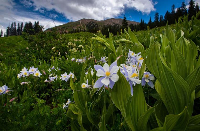 Denver weather: Rainy Wednesday with high in 50s