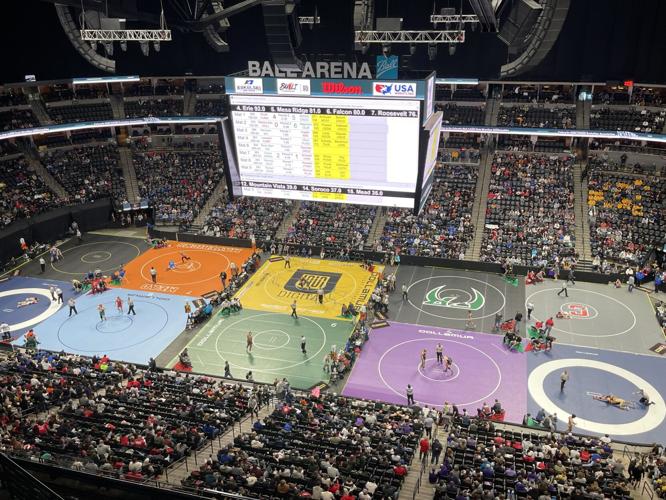 Wrestling