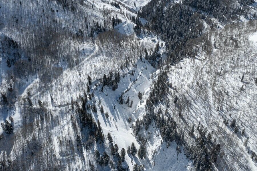 Snowshoer, two dogs die in avalanche in Gunnison County