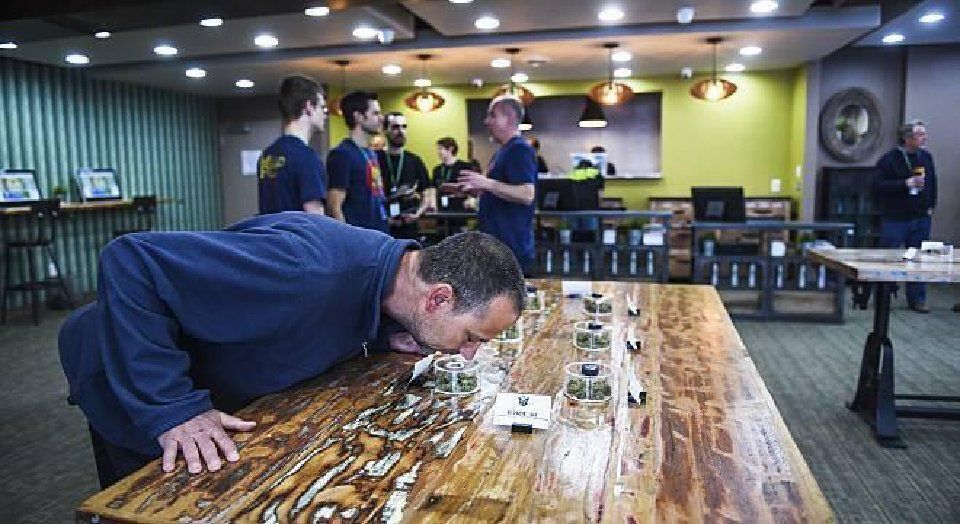 Citizens group resubmits petitions to put recreational marijuana sales on Colorado Springs ballot