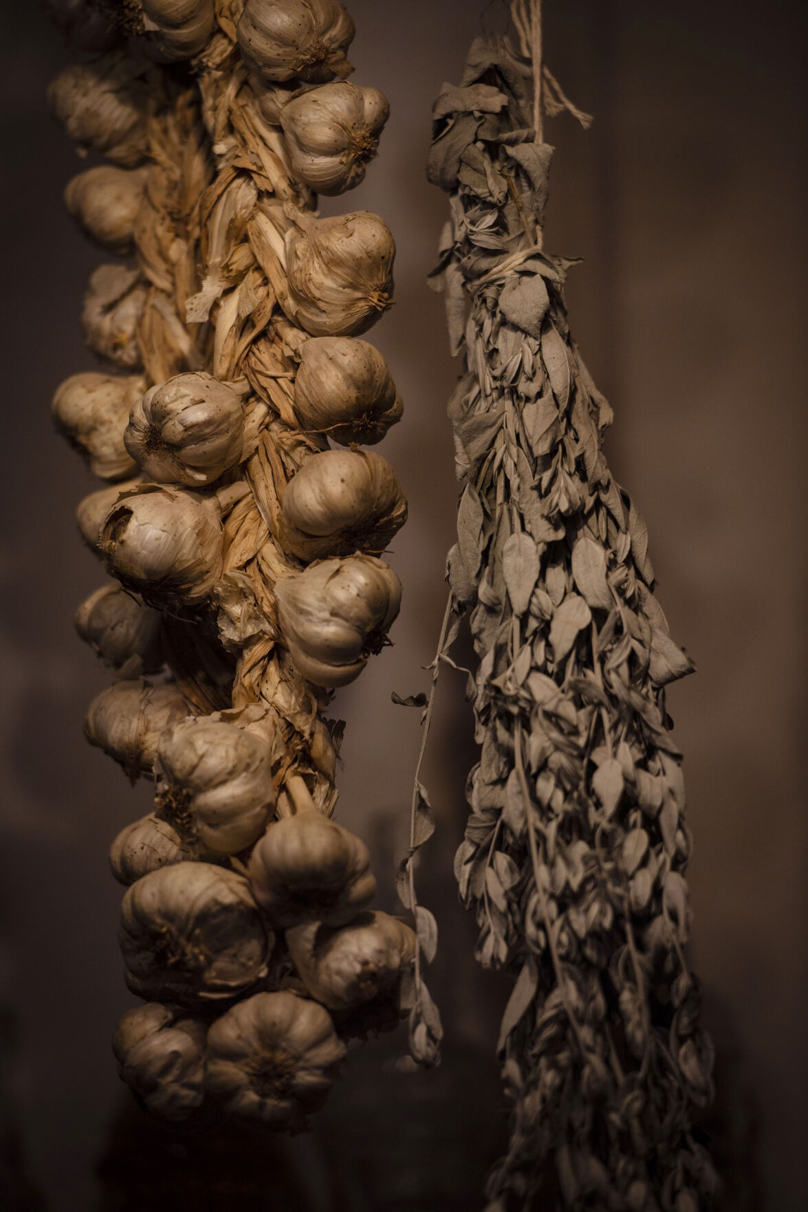 Dried garlic and herbs hang inside the kitchen at Bent's Old Fort National Historic Site in La Junta, Colo., on Feb. 23, 2022. The two-story adobe fort was reconstructed in 1976 to bring back the history of the largest fur trading outfit in the southwest of the Santa Fe Trail. The fort was established around the 1830’s and during the beginning of the “chaotic soap opera,” as historical interpreter Bob Kisthart described it, the main business was trading with plains Indians for buffalo robes. (Chancey Bush /The Gazette) (Chancey Bush/ The Gazette)