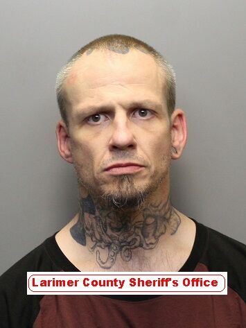 Man accused of assaulting Larimer County deputy