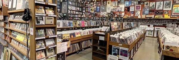 twist shout interior 600.jpg