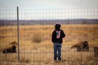 Where chemical weapons once grew, now animals rule preserve near Denver