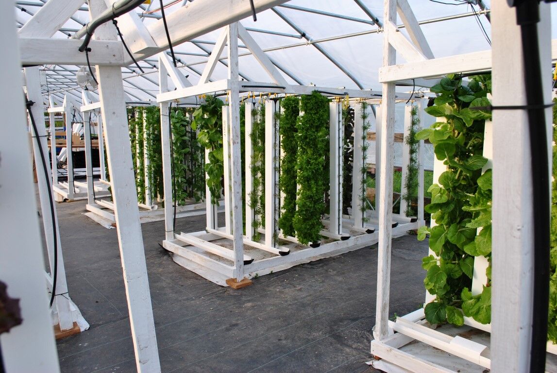 Hydroponic farm opens at Denver school