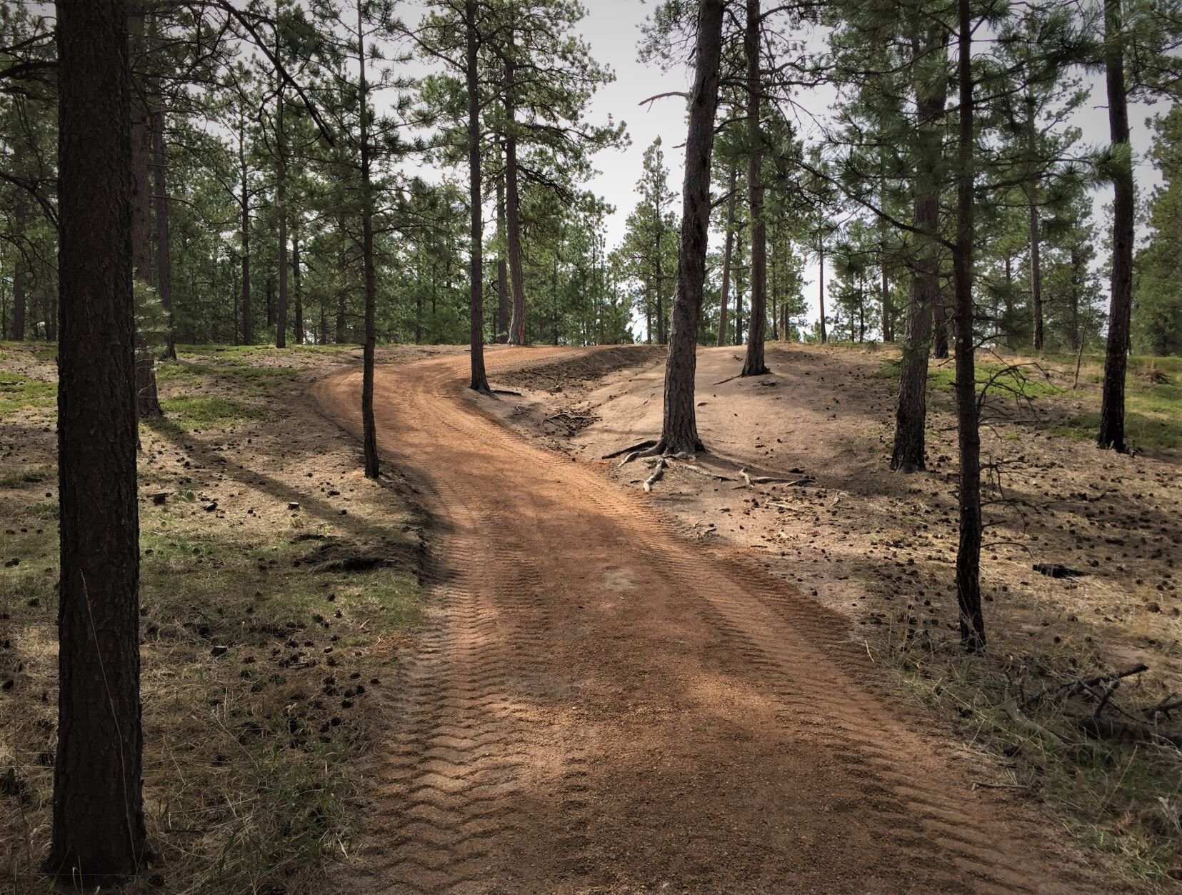 The trail through Black Forest Section 16 loops about 4 miles. (Courtesy of El Paso County)