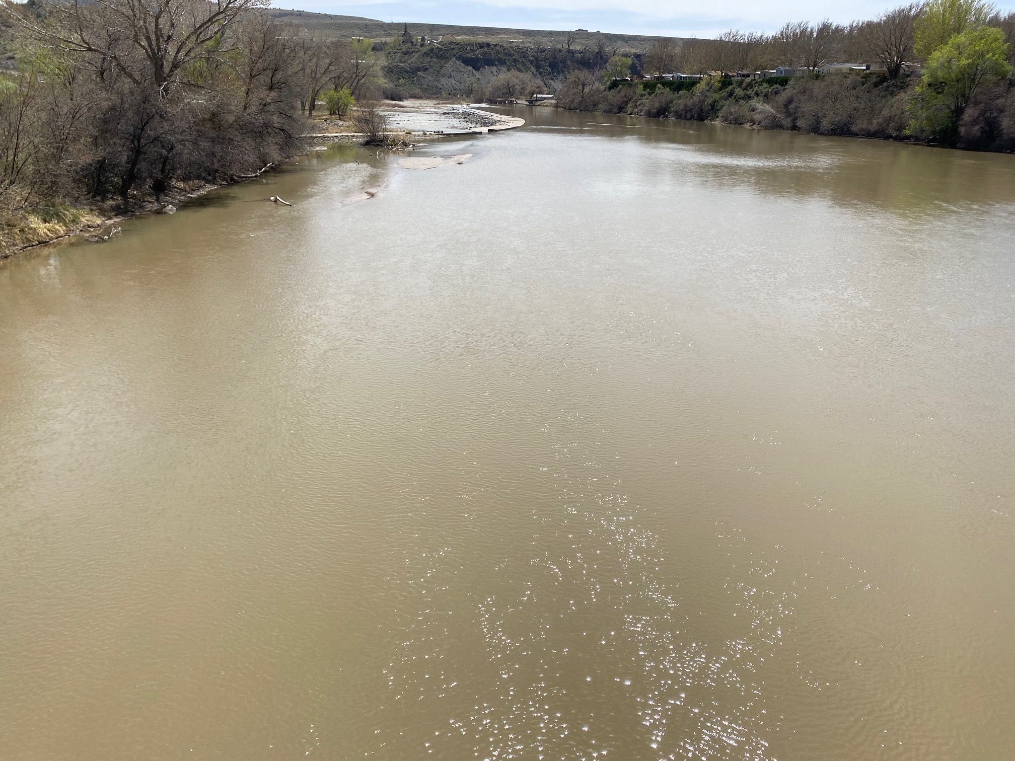 The Colorado River in Palisade, Colorado April 18, 2022. (Carol McKInley)