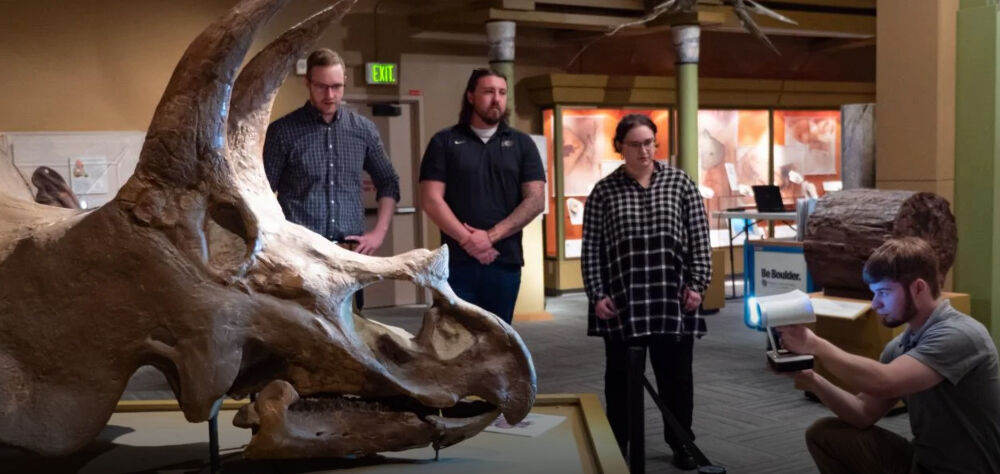 Last looks at CU's Triceratops dinosaur skull in Boulder. (Photo by Glenn Asakawa)