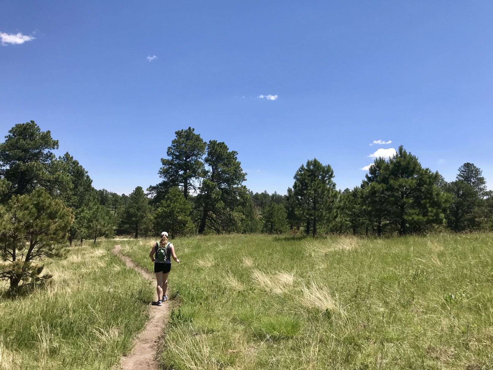 A hiker strolls the trail at Pineries Open Space. The loop totals about 9 miles. (Seth Boster, The Gazette)