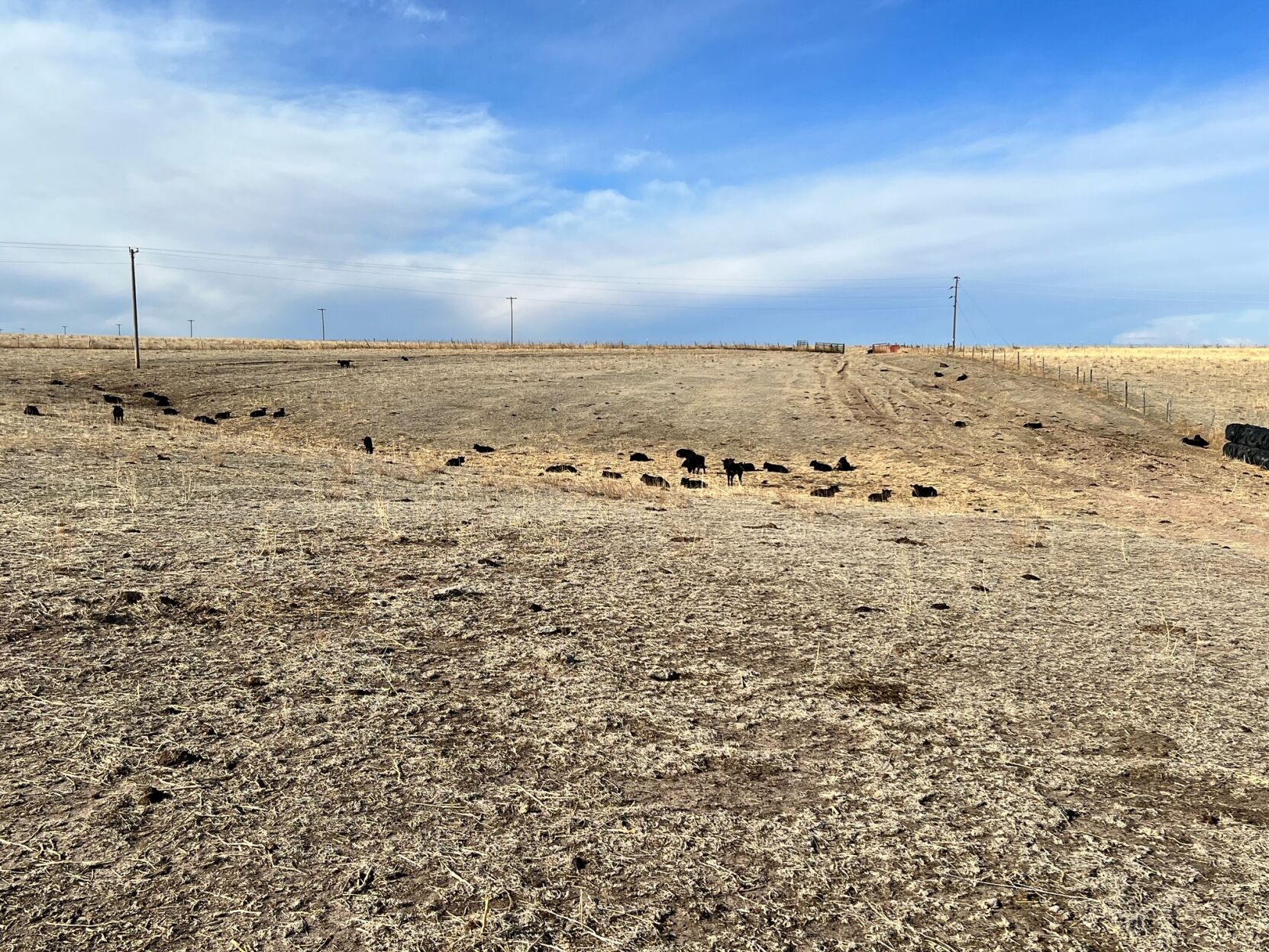 A pasture in Joes, Colorado is bone dry as first responders prepare for Friday's Red Flag Warning (Michelle Smith)