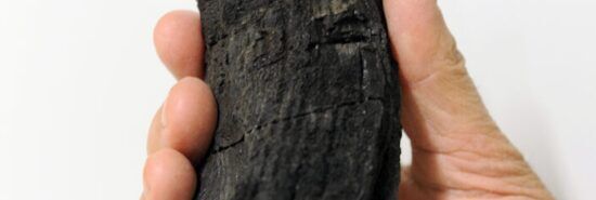 Giant tooth of ancient sea monster discovered in the Swiss Alps